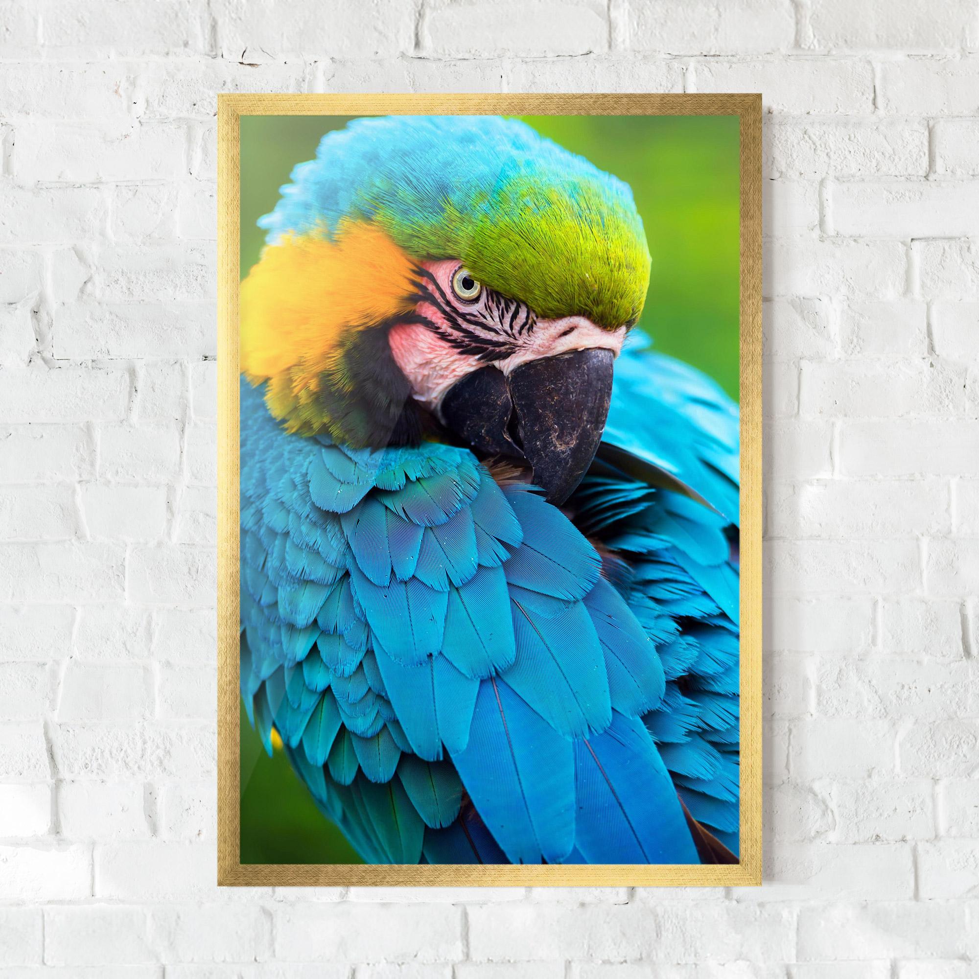 Gerahmte Poster Blue Parrot mockup 0