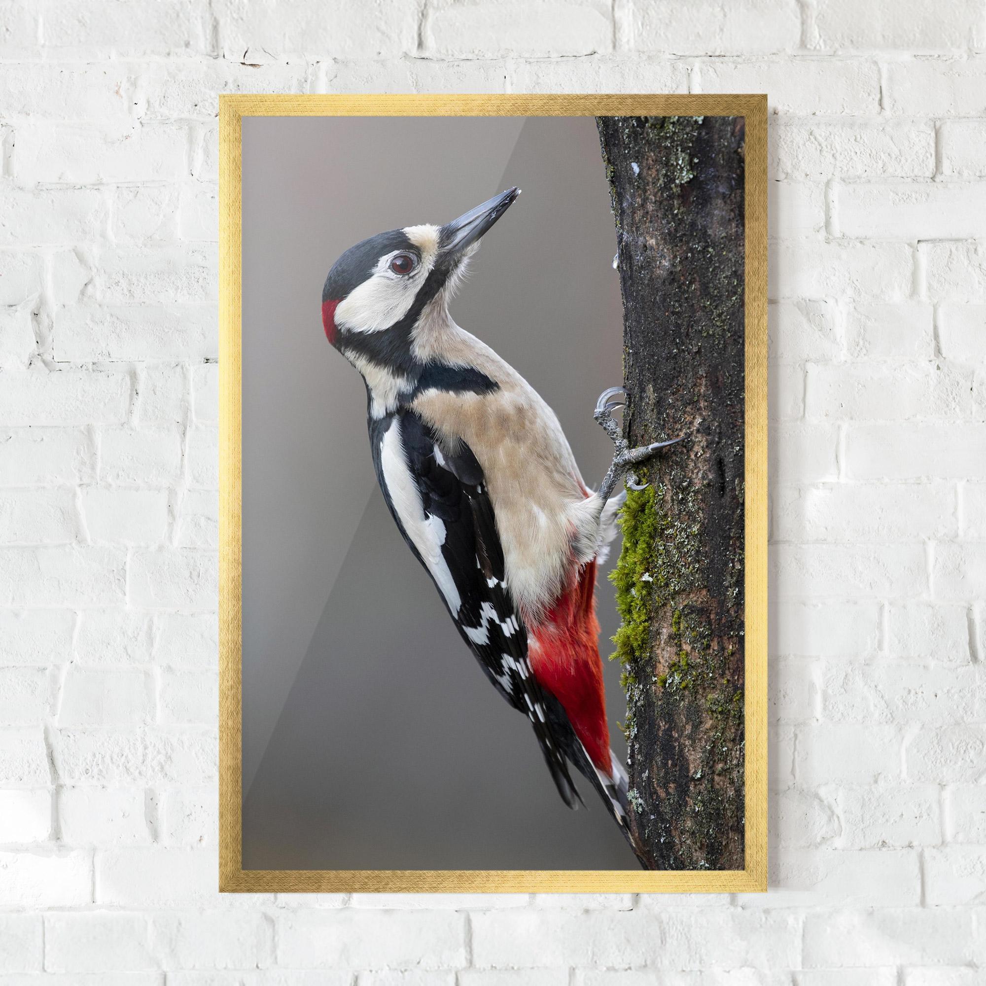Gerahmte Poster Woodpecker mockup 0