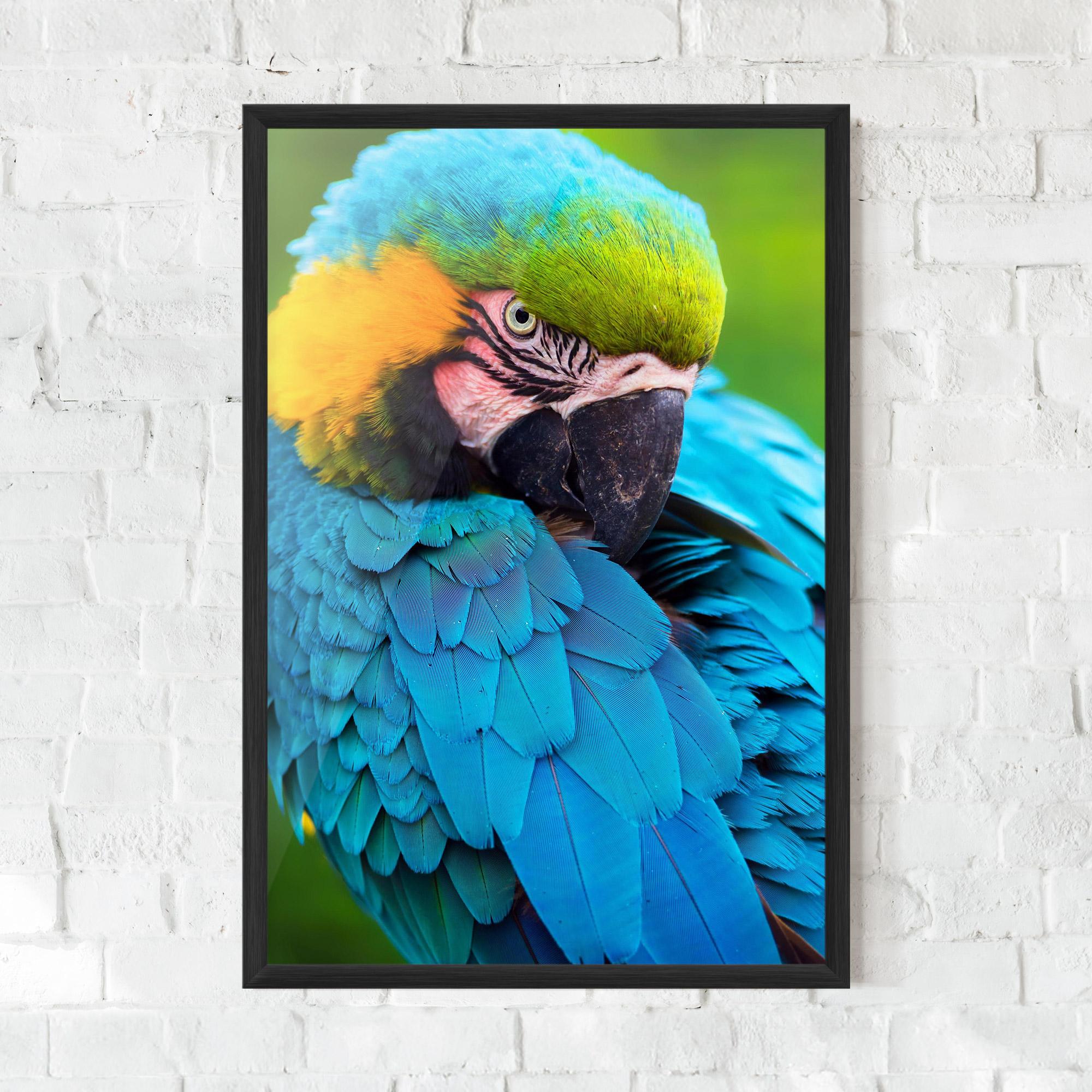 Gerahmte Poster Blue Parrot mockup 0