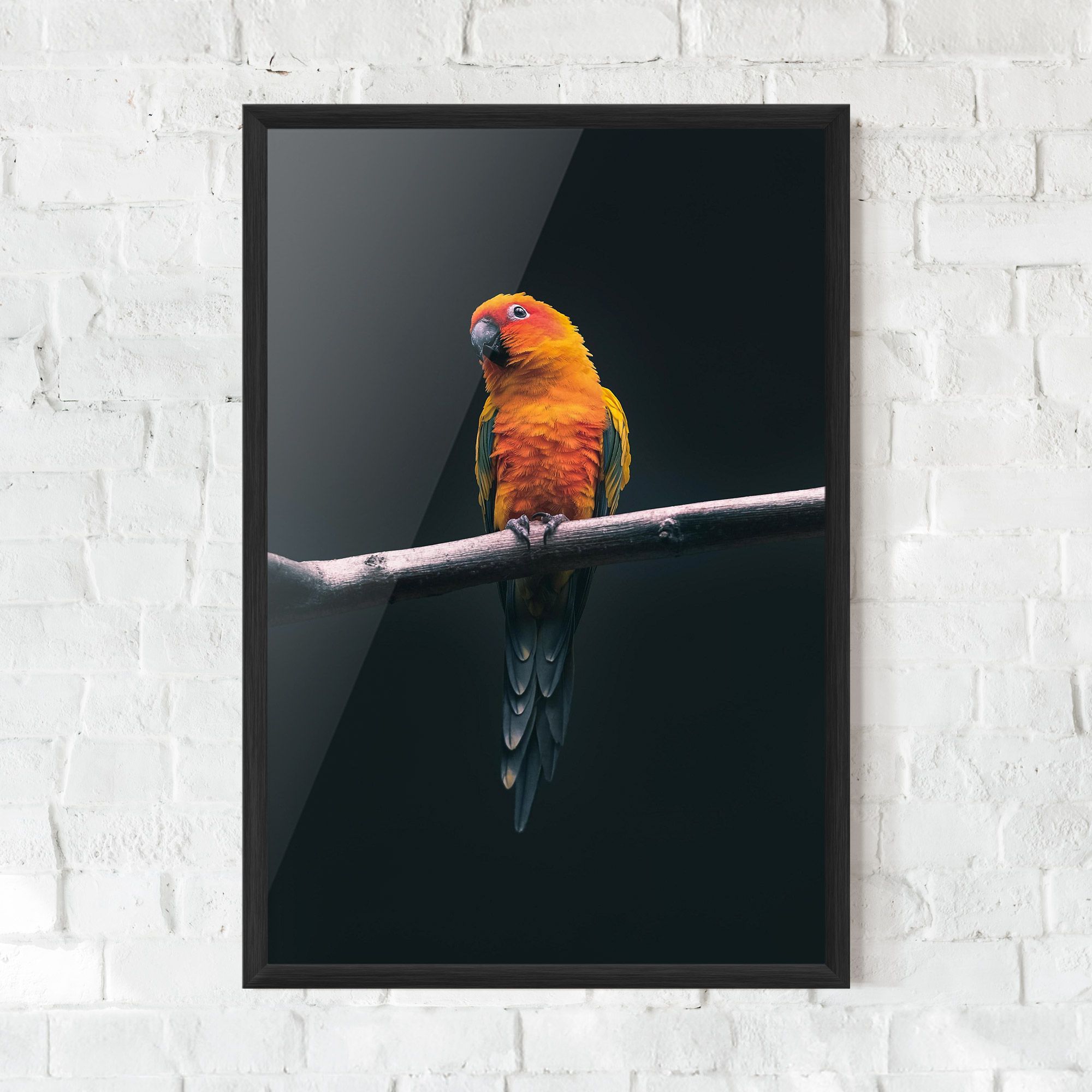 Fire Parrot mockup 0