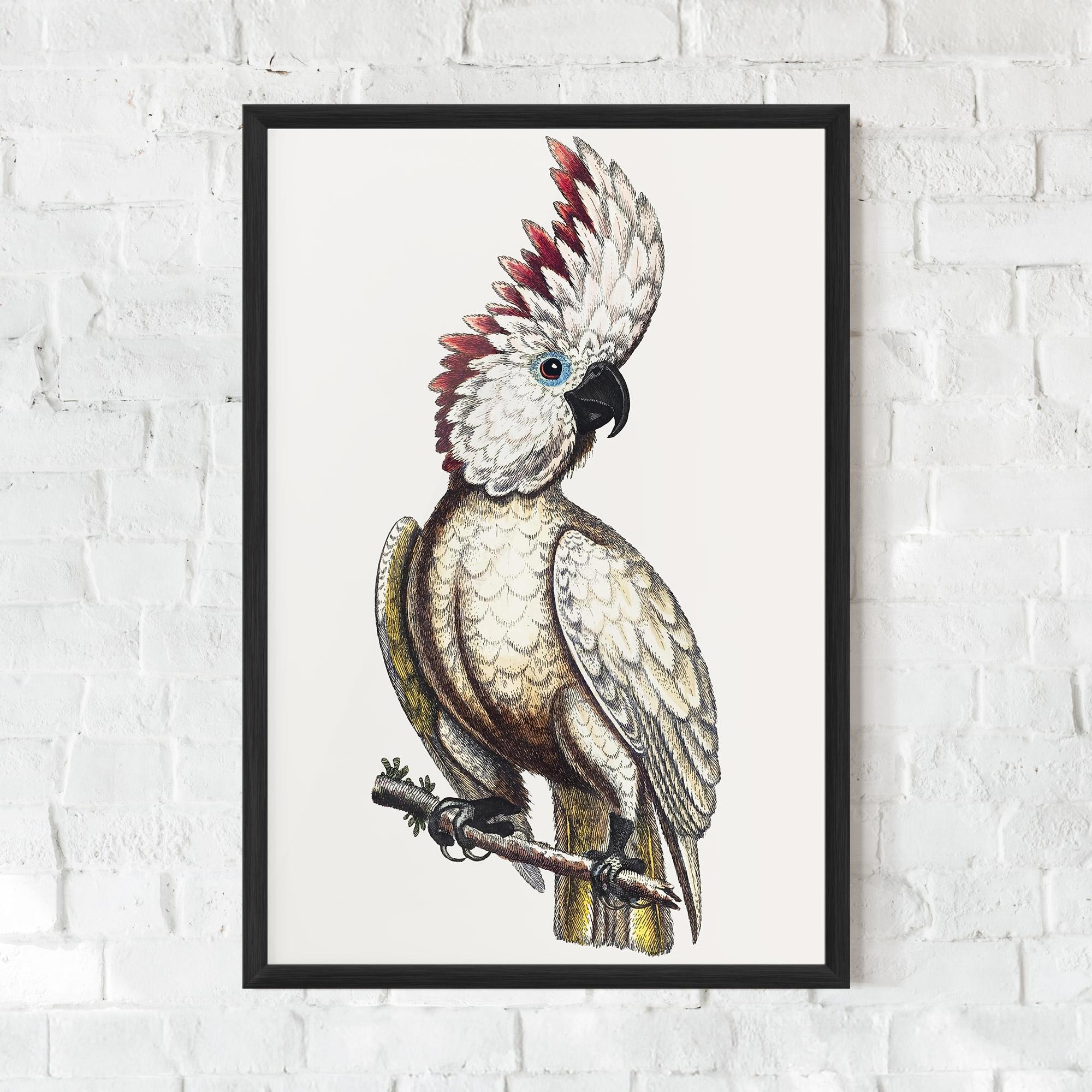 Gerahmte Poster Interesting Bird mockup 0
