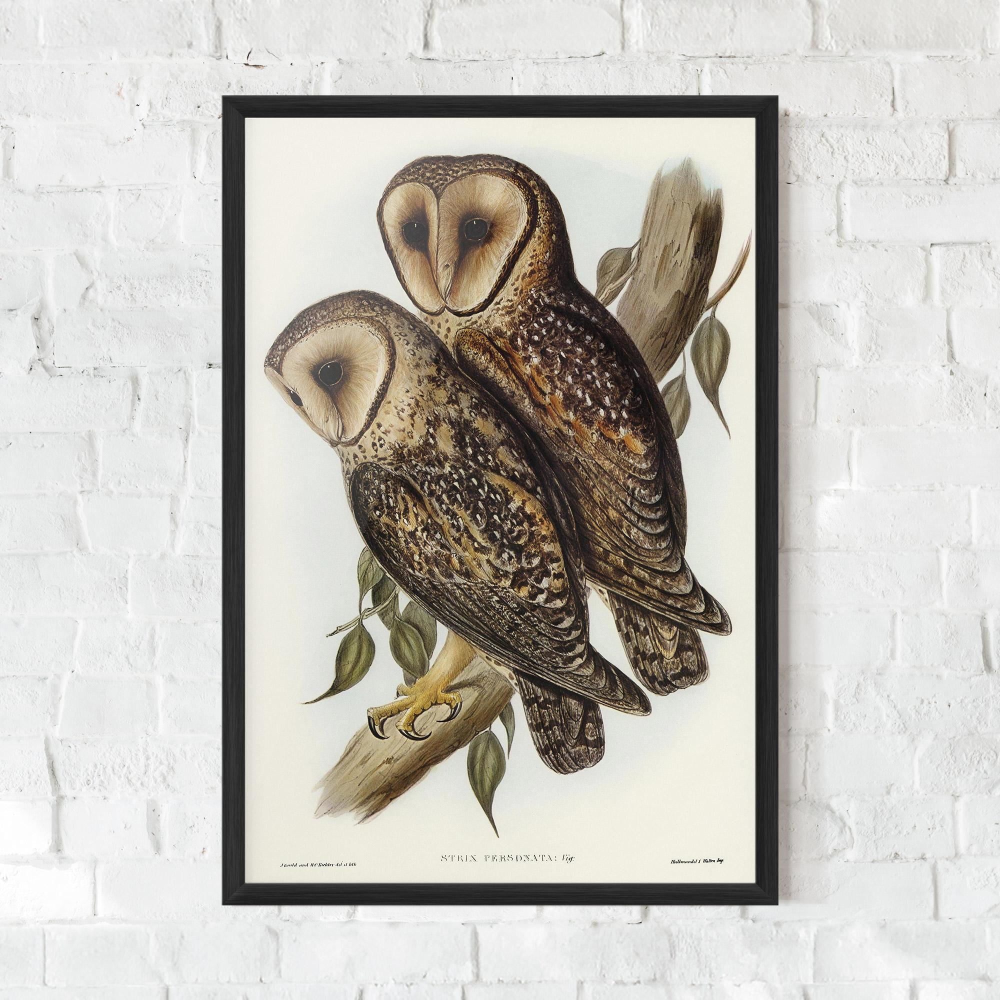Gerahmte Poster Owl Family mockup 0