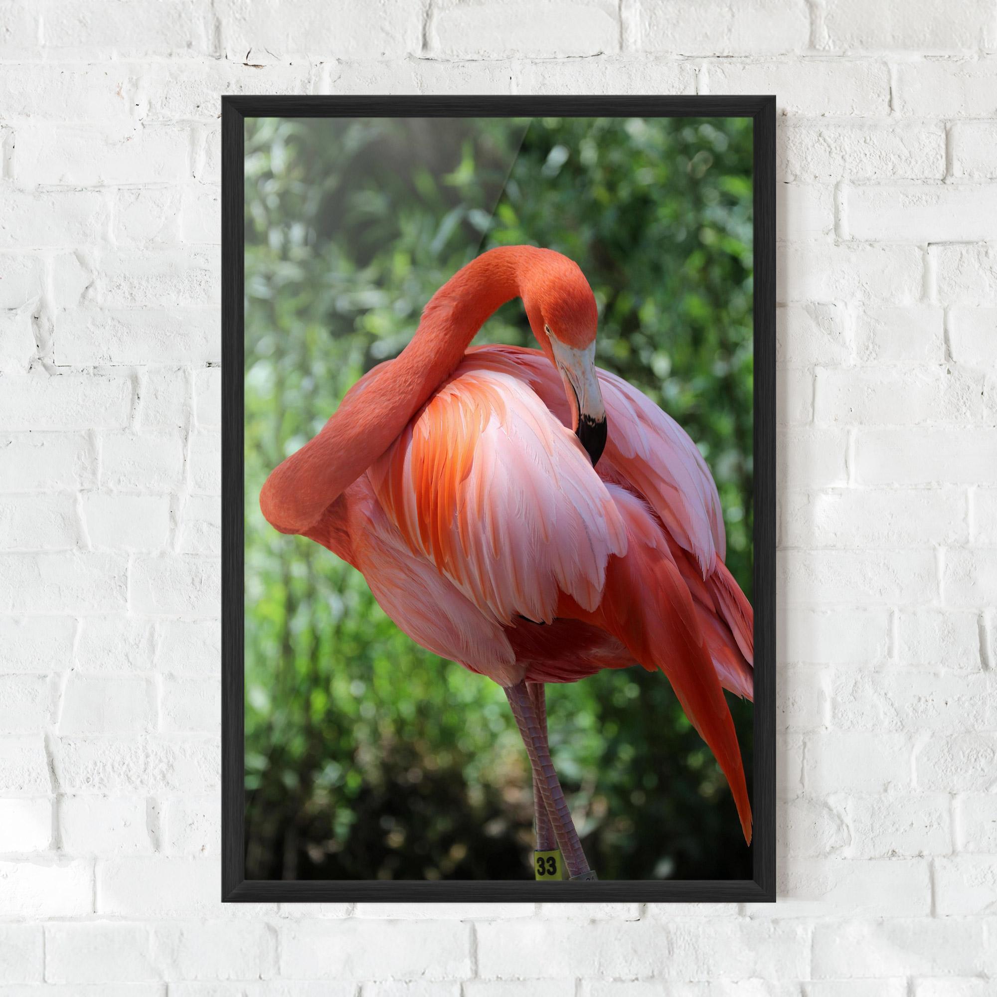 Gerahmte Poster Red Flamingo mockup 0