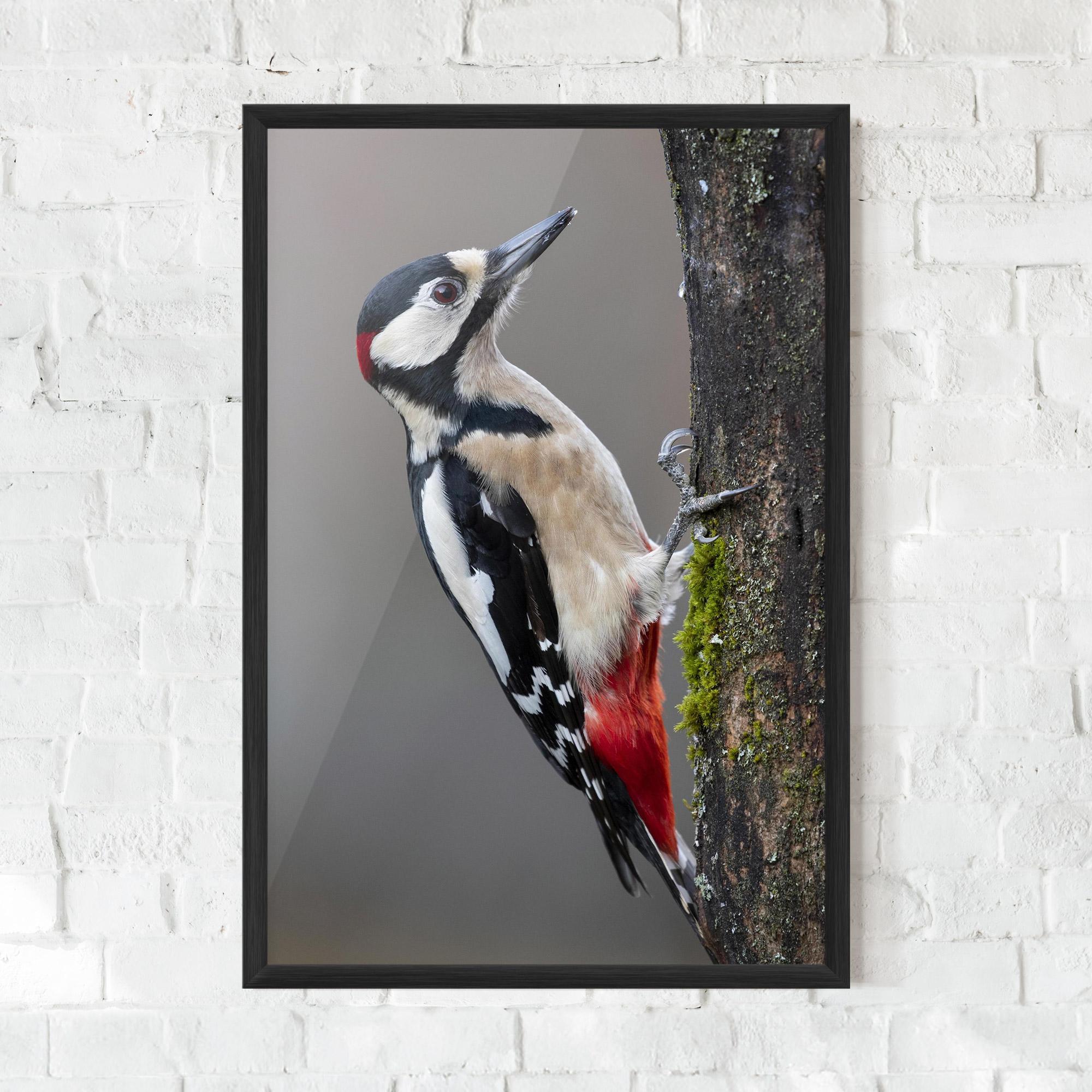 Gerahmte Poster Woodpecker mockup 0
