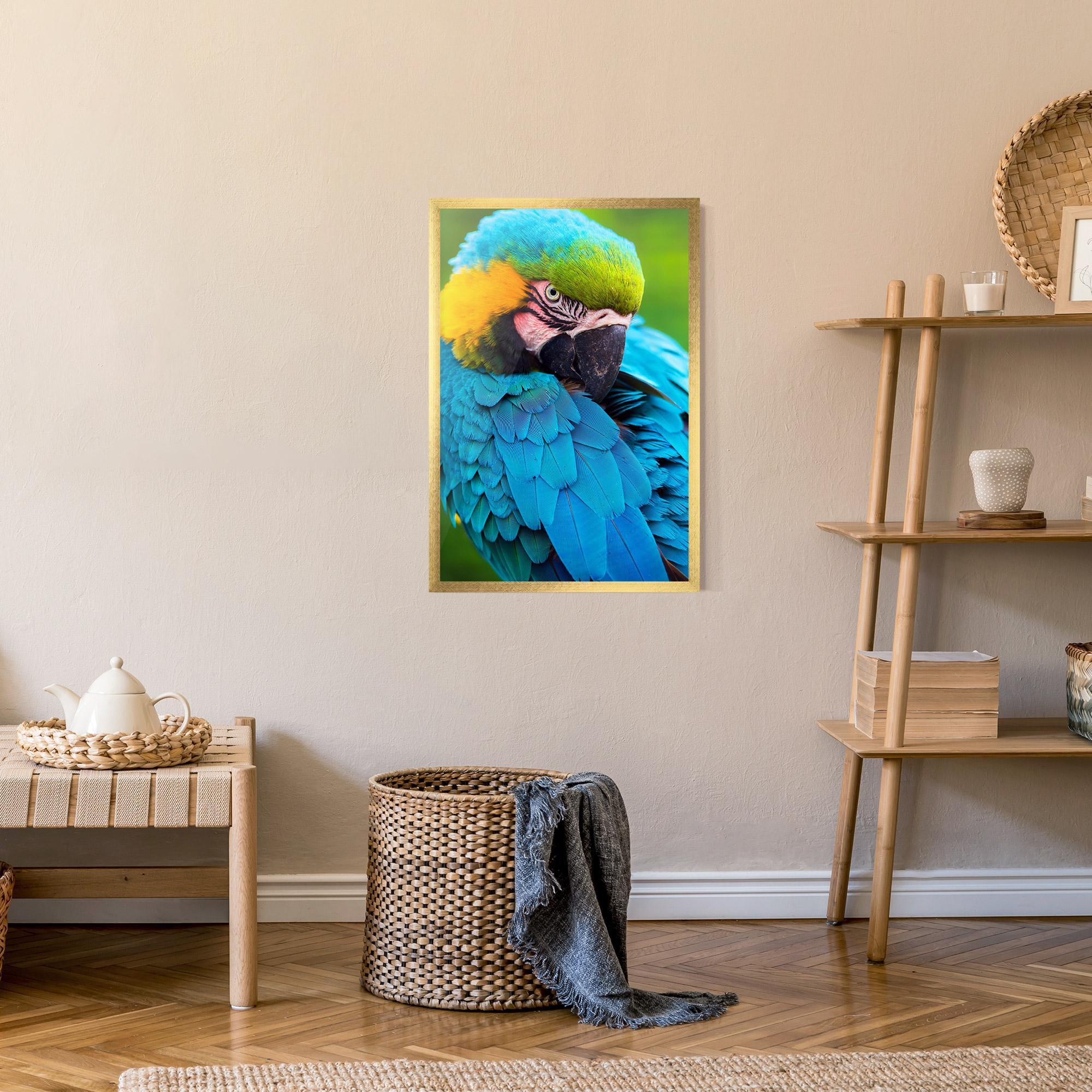 Gerahmte Poster Blue Parrot mockup 9