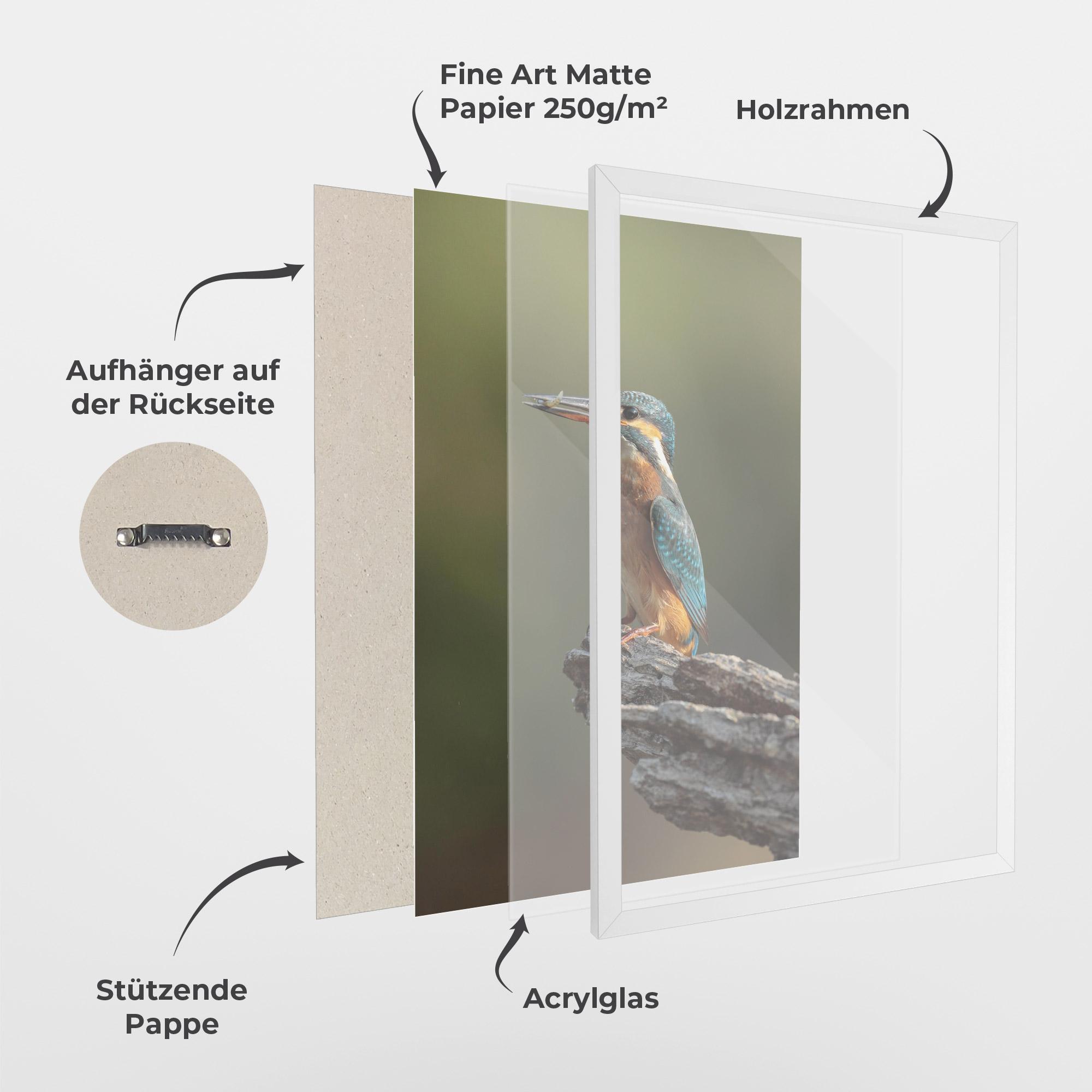 Gerahmte Poster Female Kingfisher mockup 1