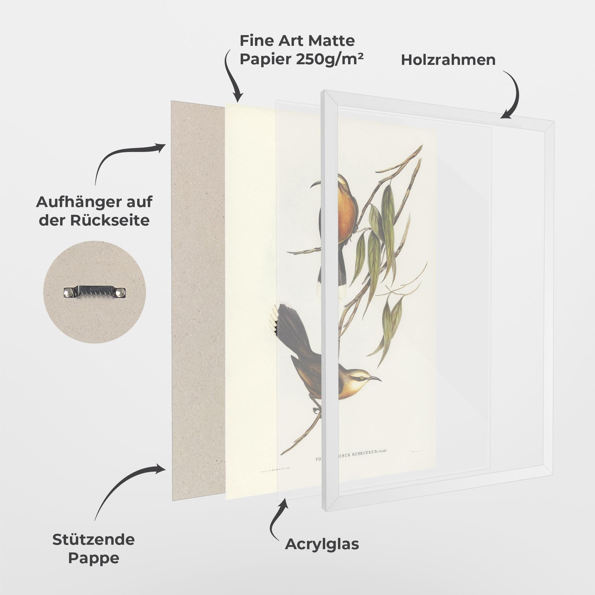 Gerahmte Poster Red Pomatorhinus mockup 1