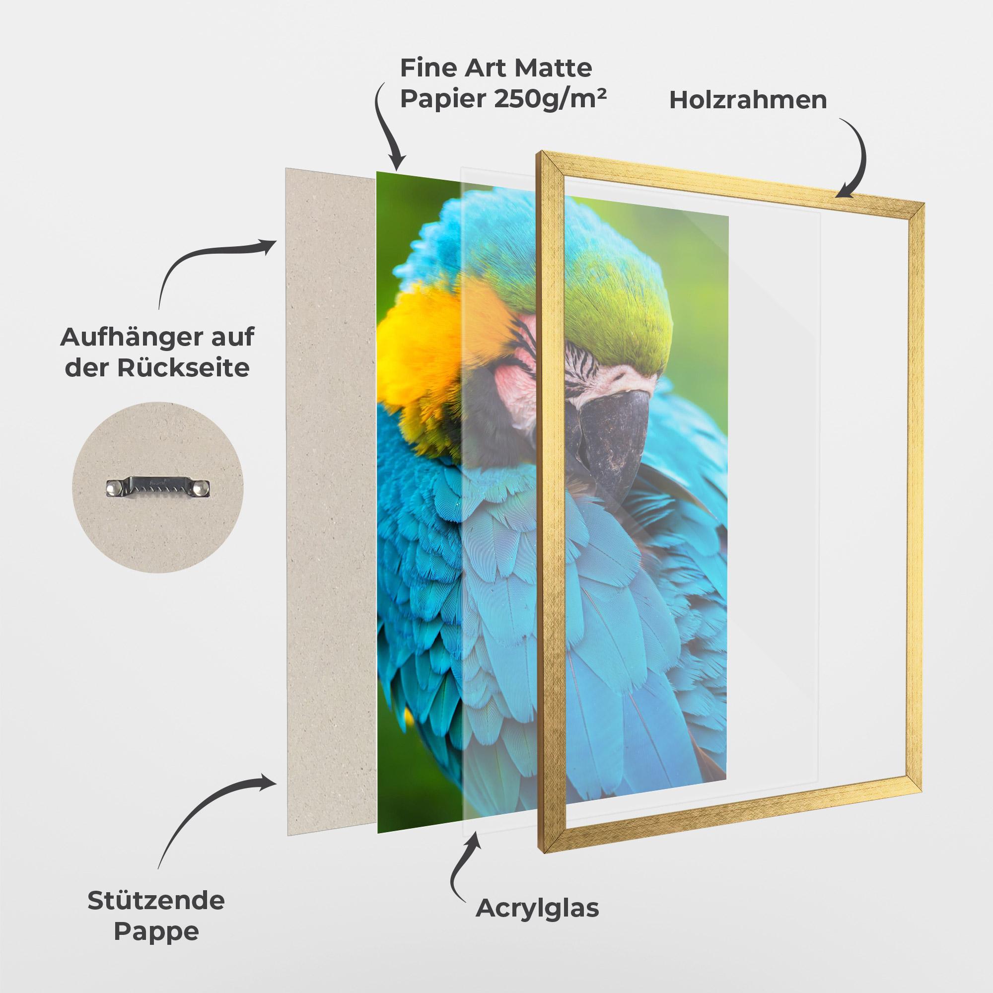 Gerahmte Poster Blue Parrot mockup 1