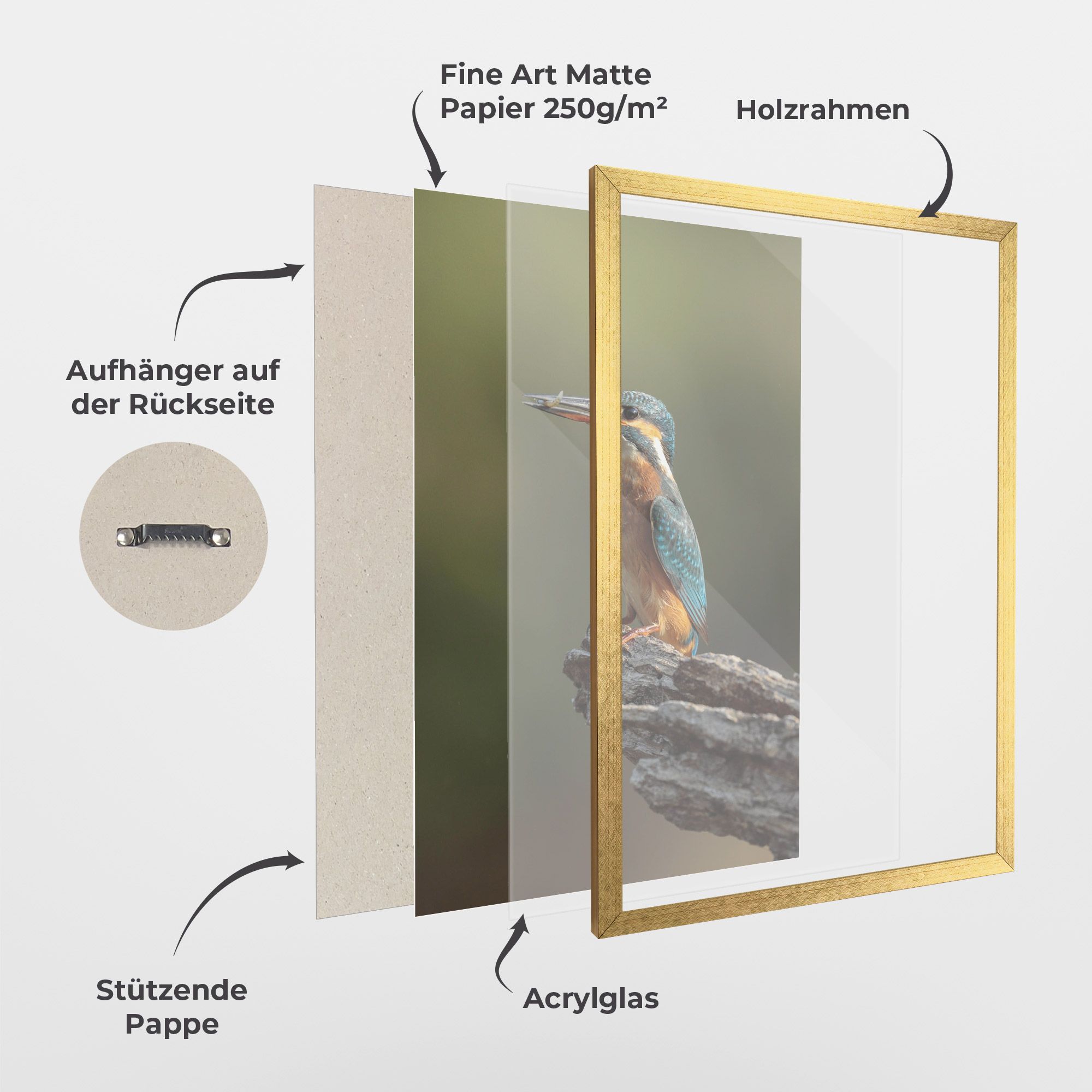 Female Kingfisher mockup 1