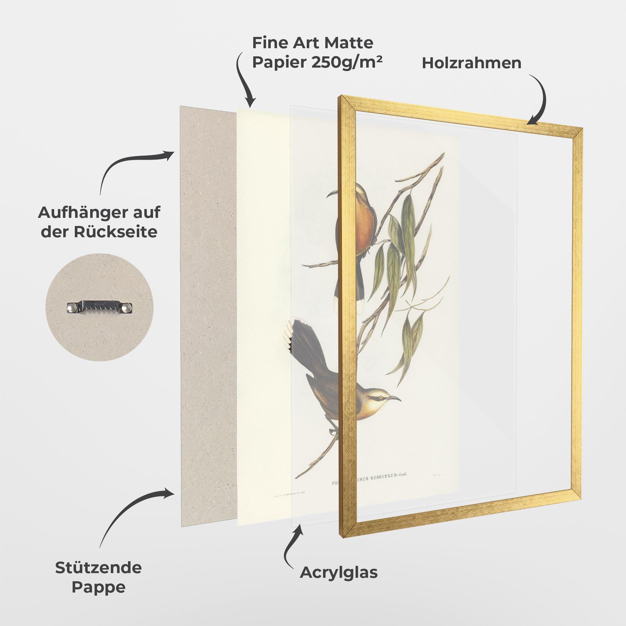 Gerahmte Poster Red Pomatorhinus mockup 1