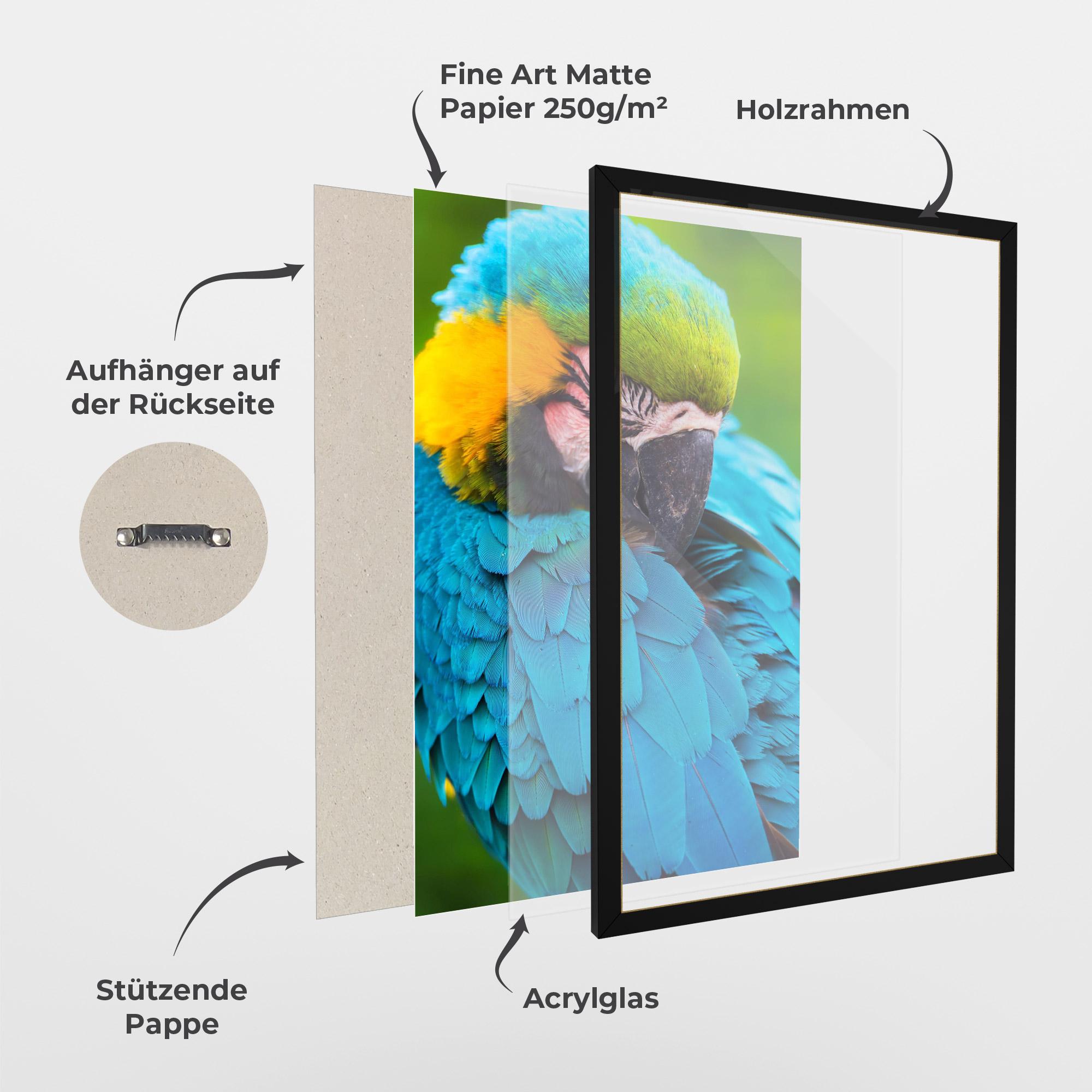 Gerahmte Poster Blue Parrot mockup 1
