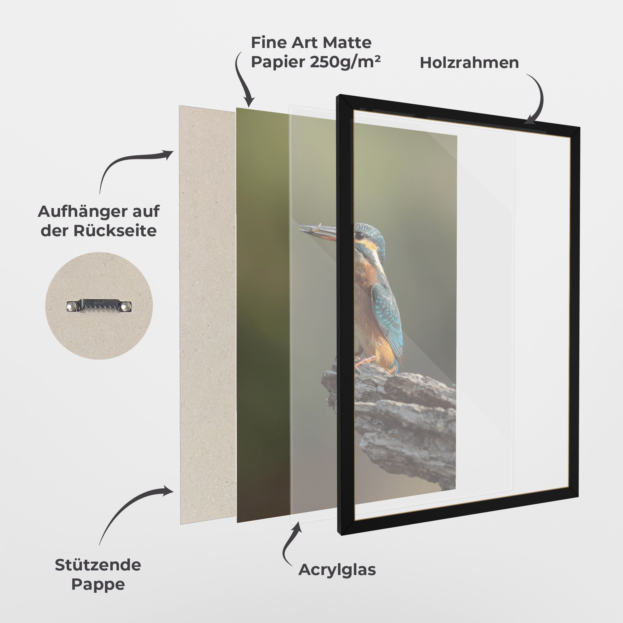 Female Kingfisher mockup 1