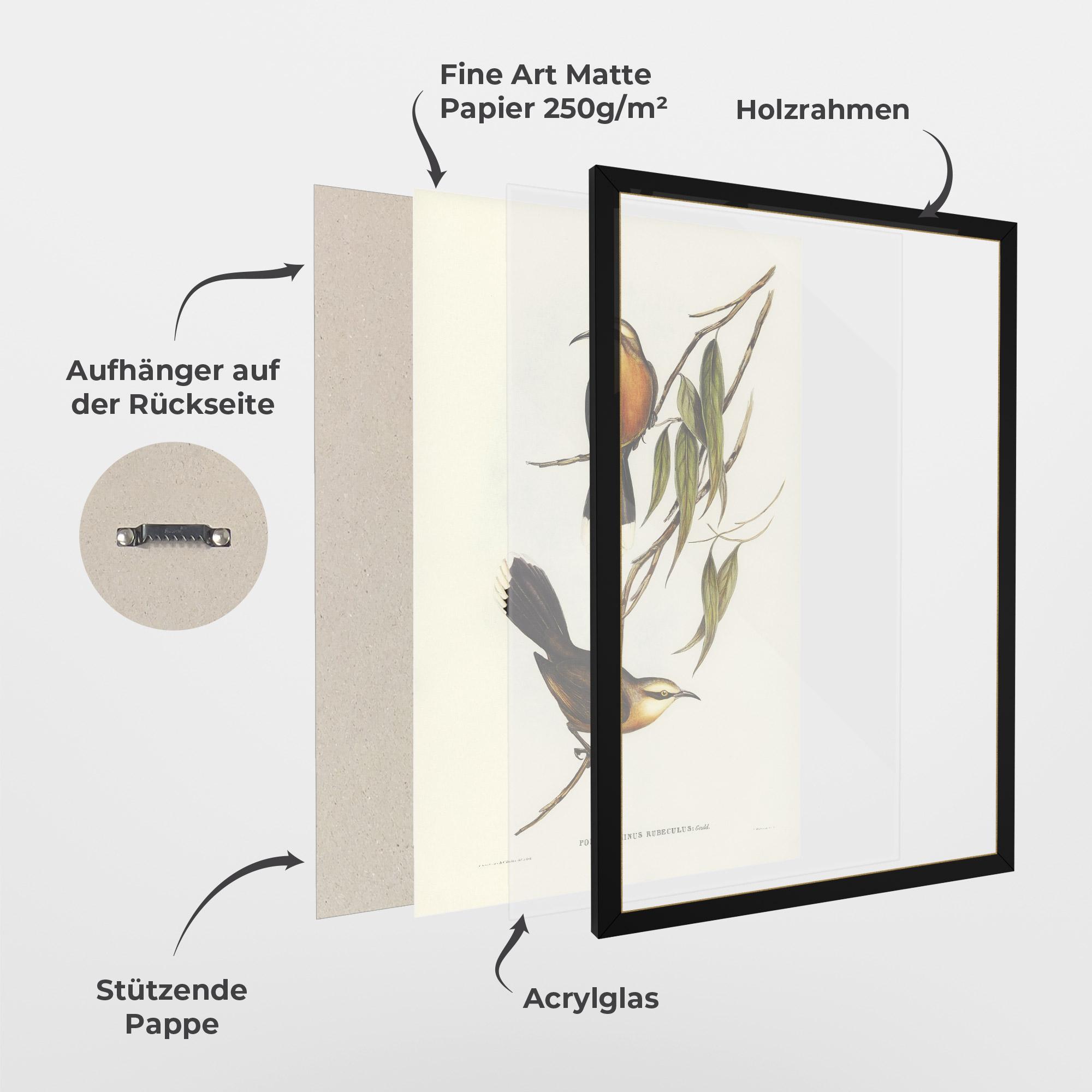 Gerahmte Poster Red Pomatorhinus mockup 1