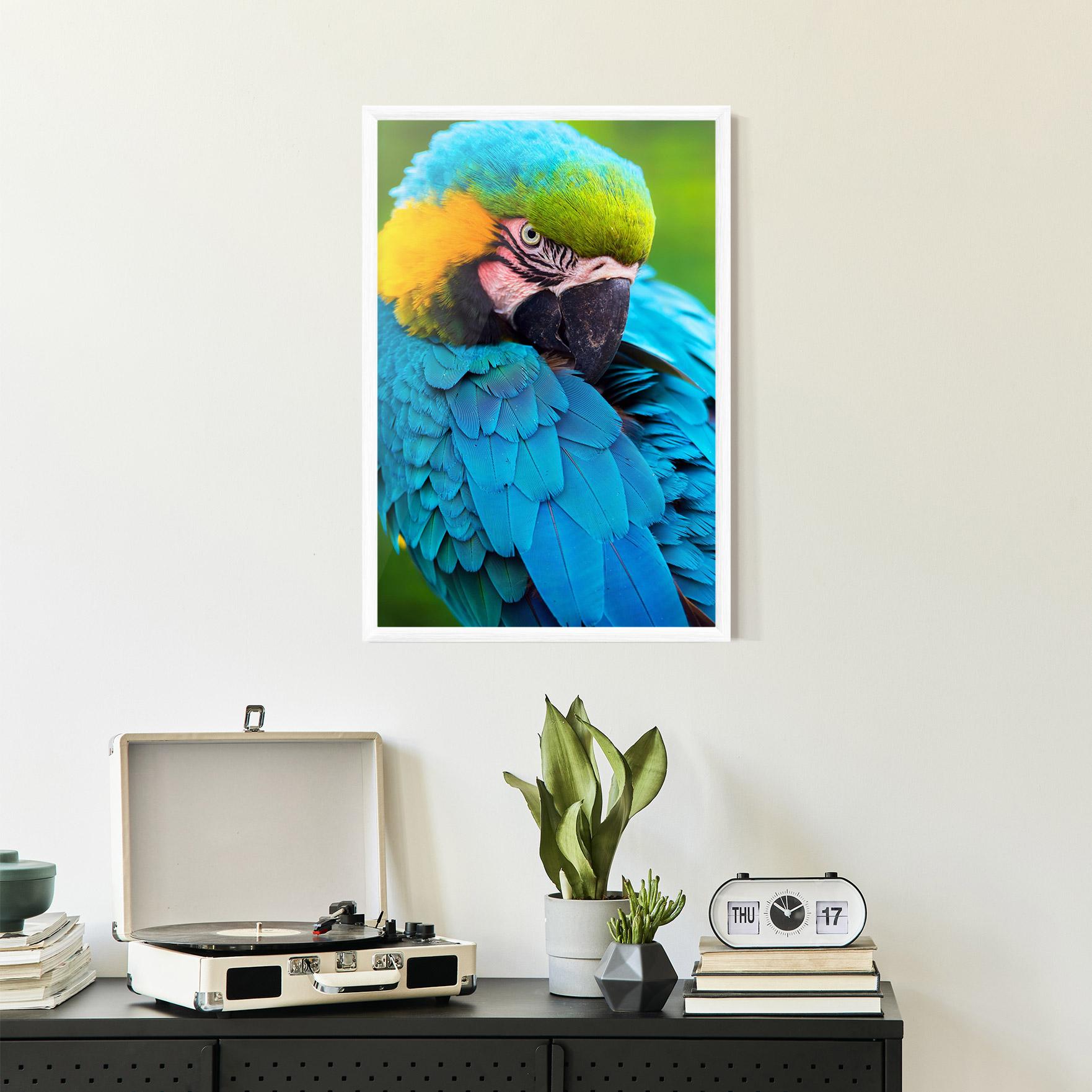 Gerahmte Poster Blue Parrot mockup 2