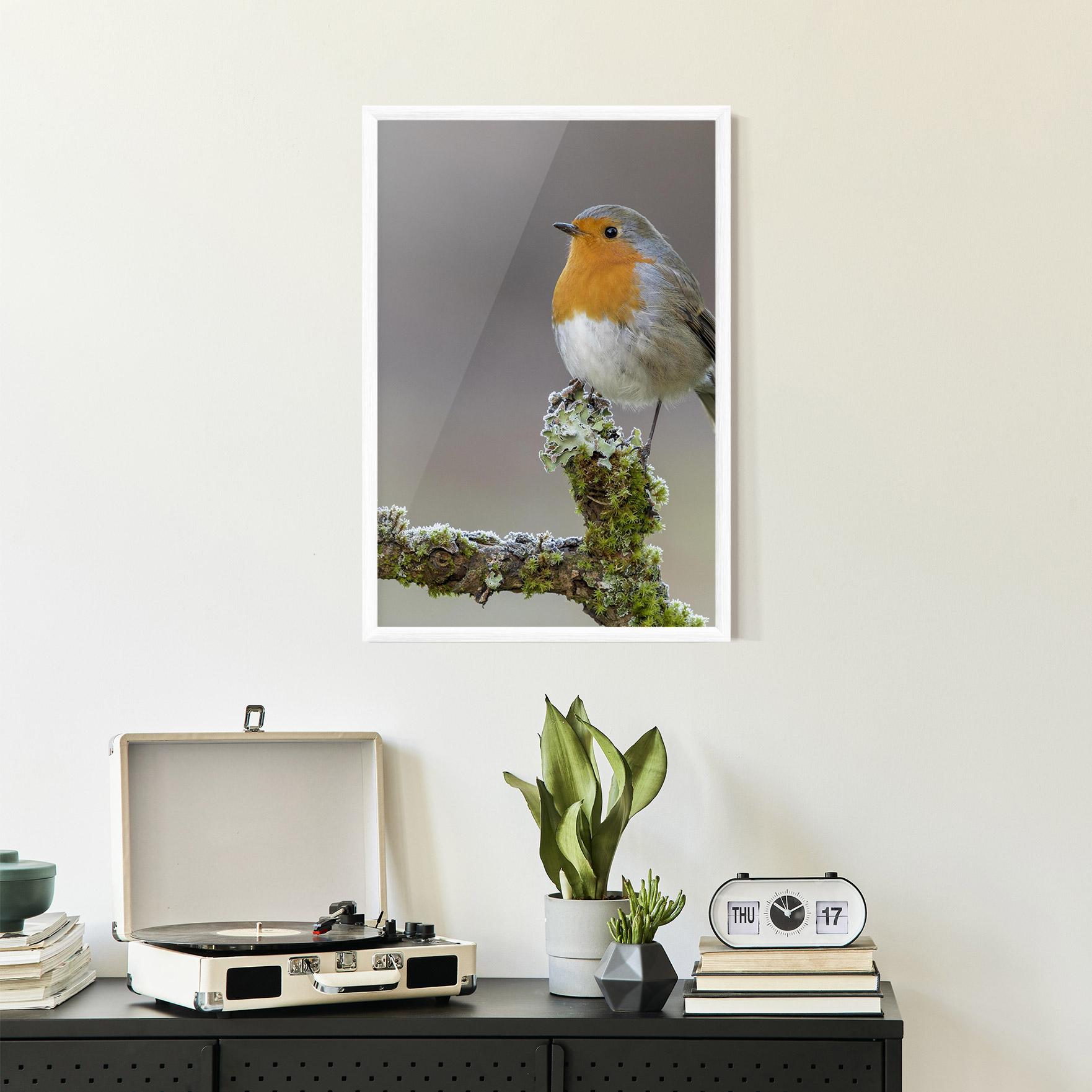 Gerahmte Poster Erithacus Bird mockup 2
