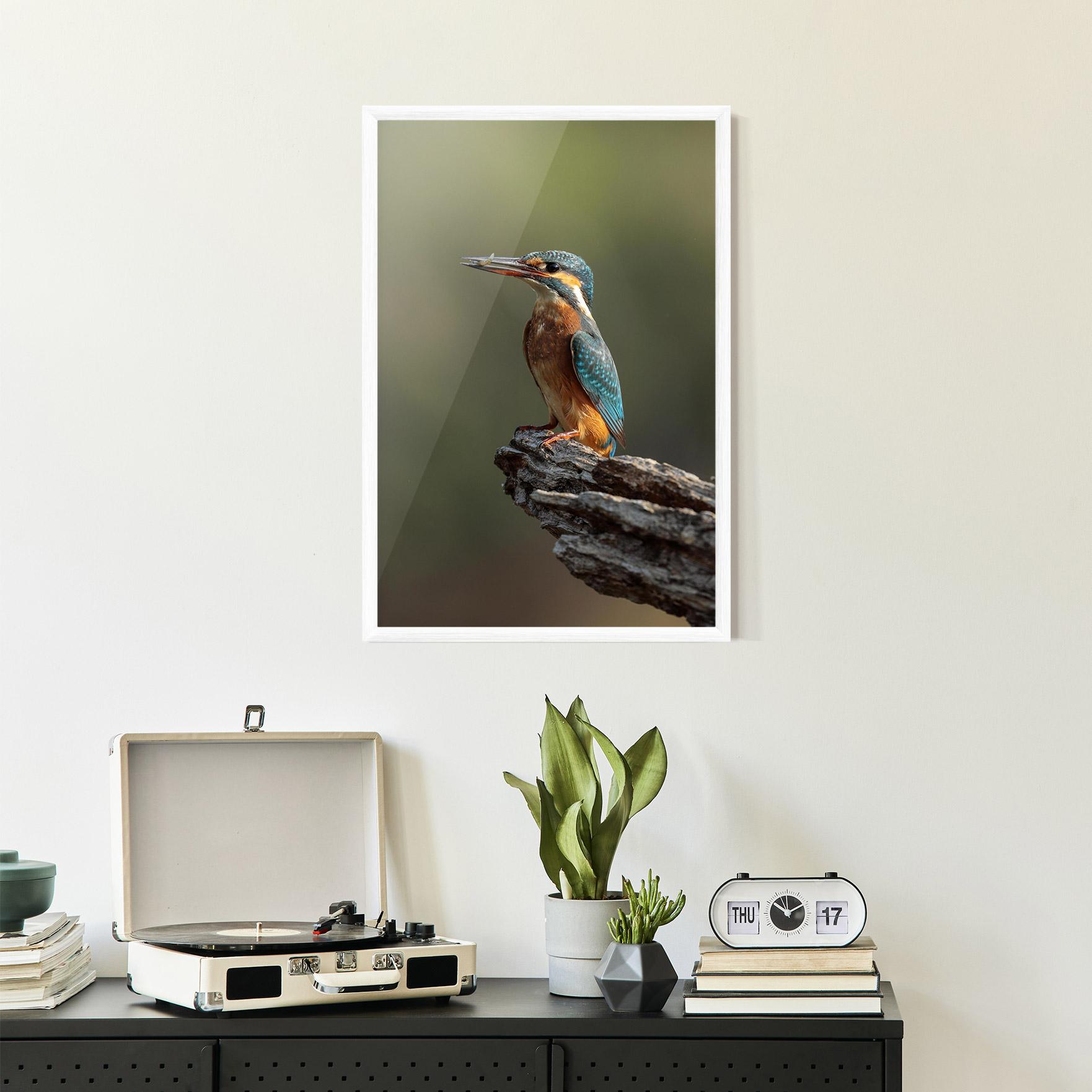 Gerahmte Poster Female Kingfisher mockup 2
