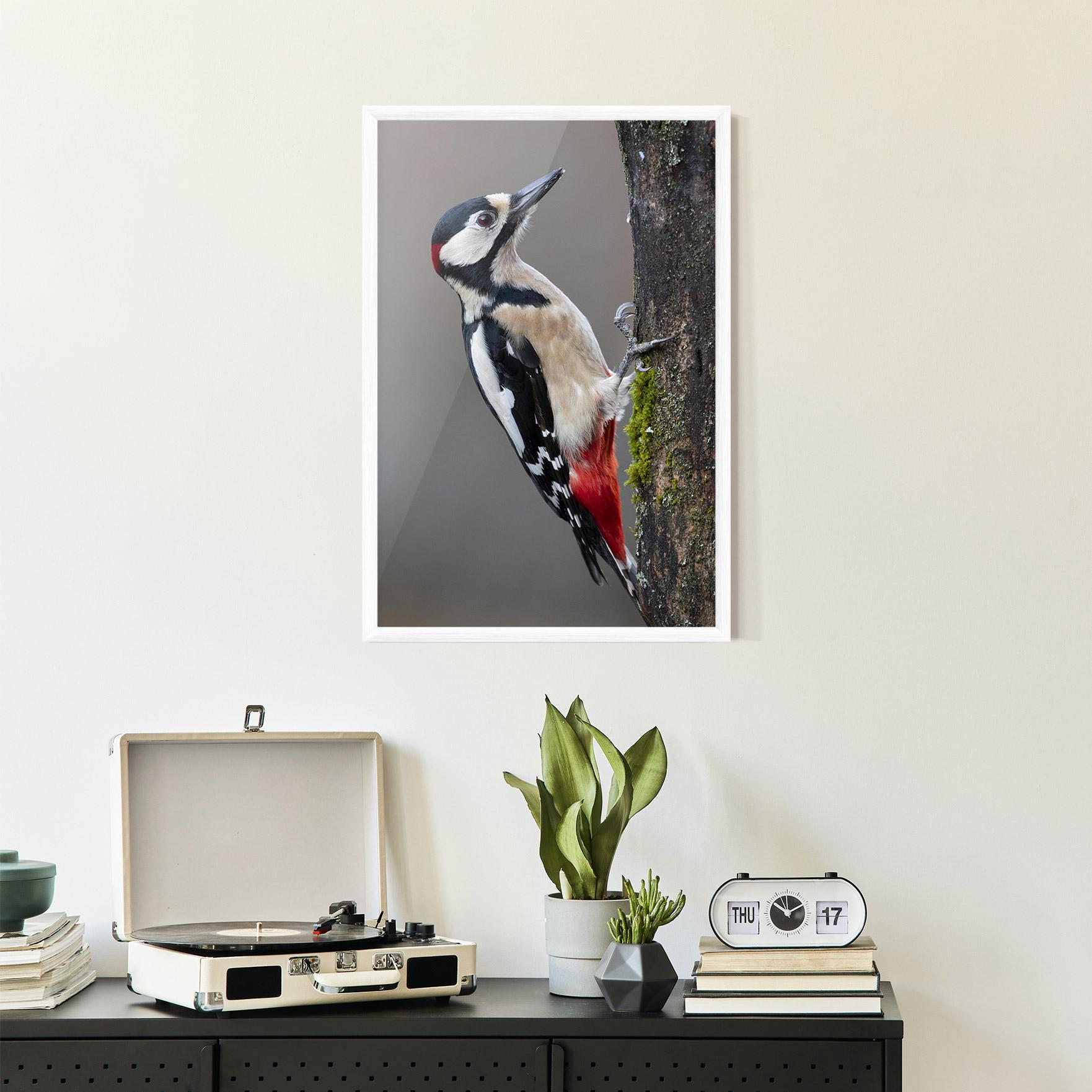 Gerahmte Poster Woodpecker mockup 2