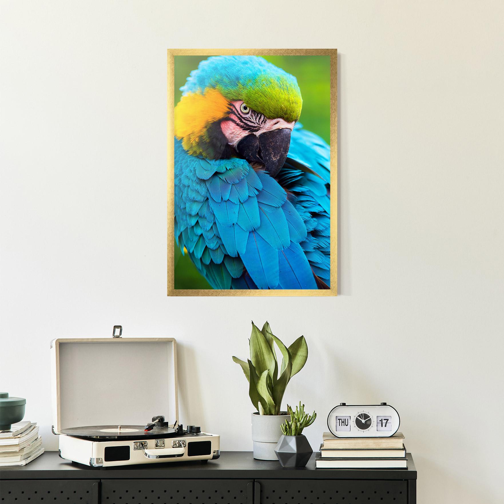 Gerahmte Poster Blue Parrot mockup 2