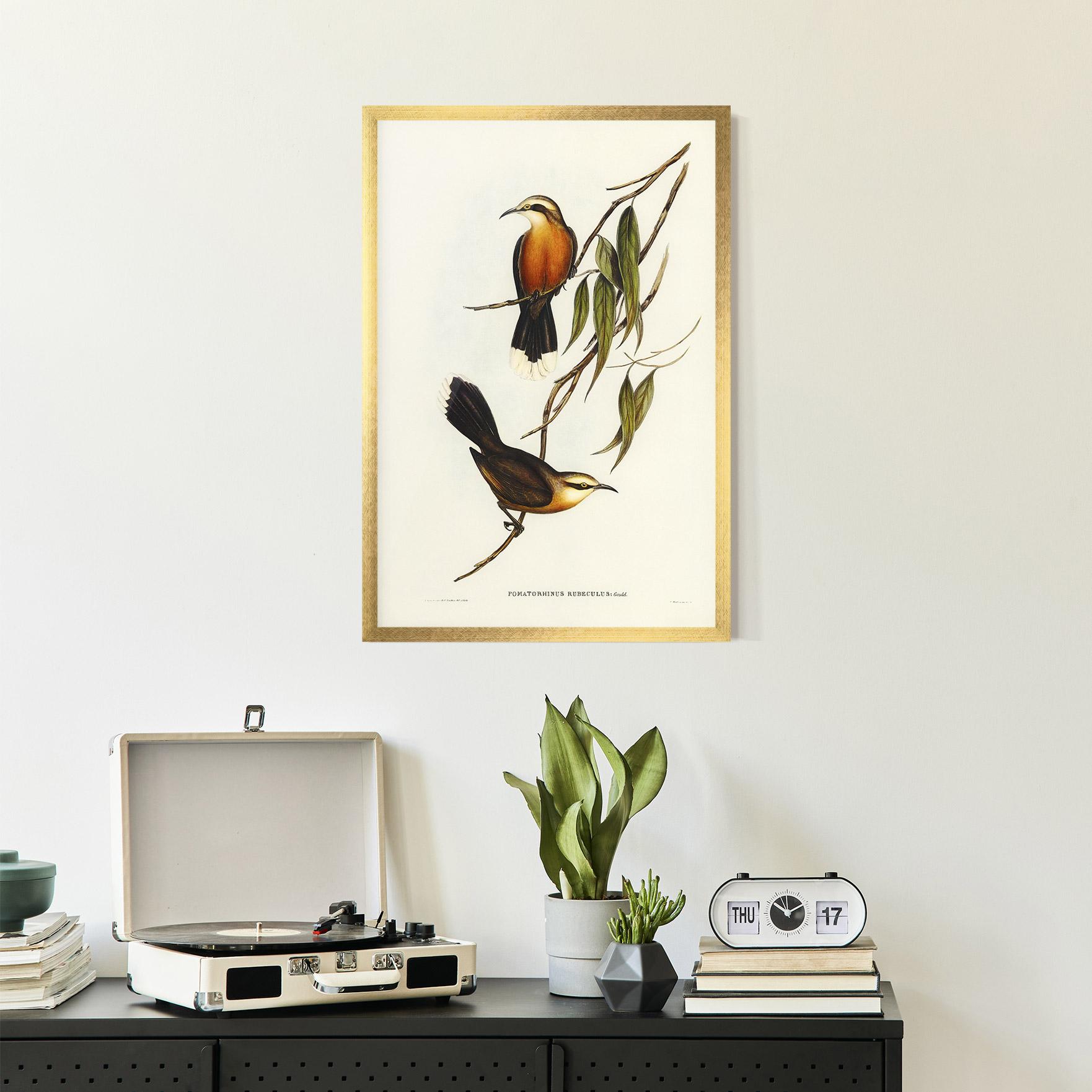 Gerahmte Poster Red Pomatorhinus mockup 2