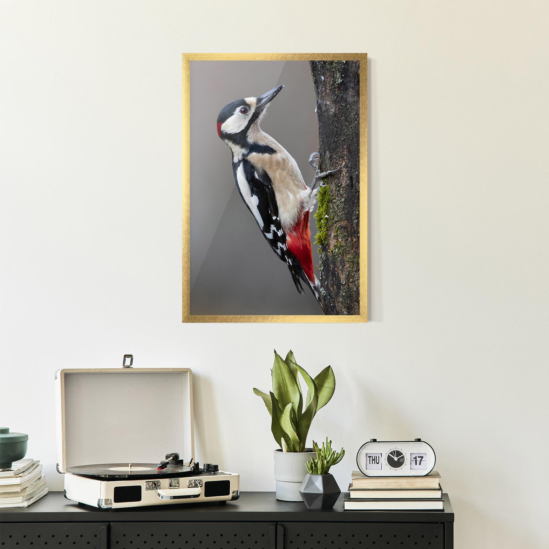 Gerahmte Poster Woodpecker mockup 2