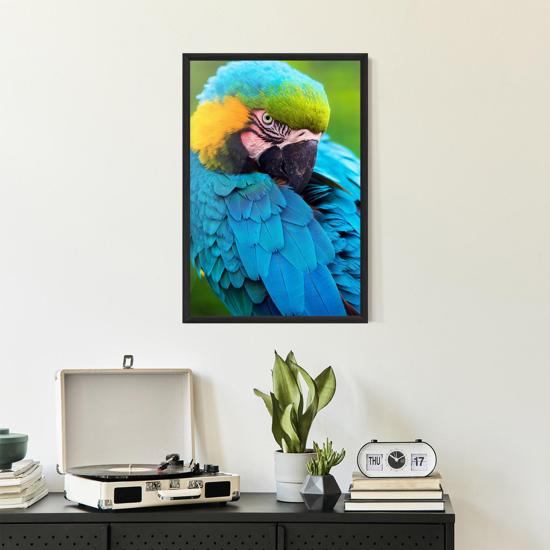 Gerahmte Poster Blue Parrot mockup 2