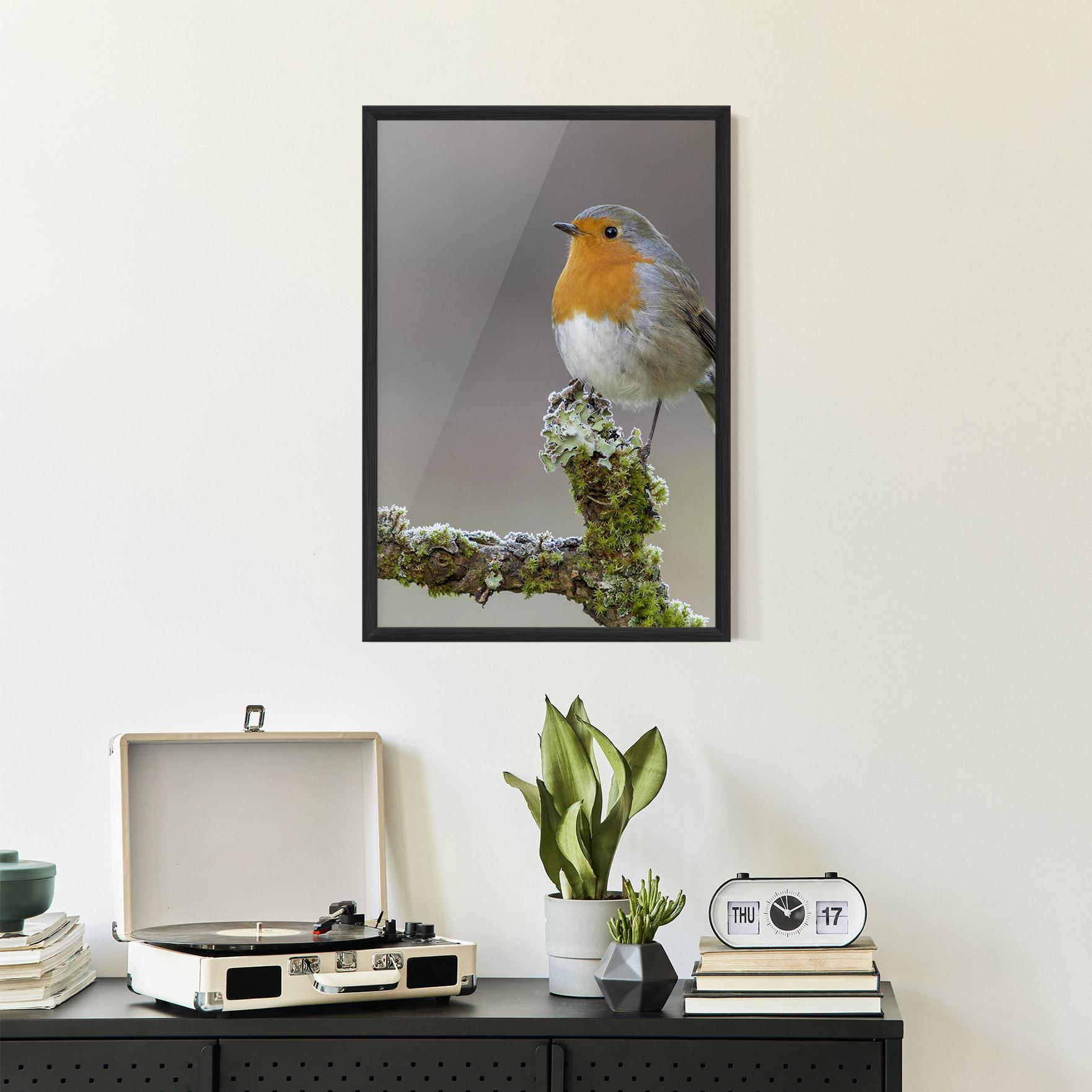 Gerahmte Poster Erithacus Bird mockup 2