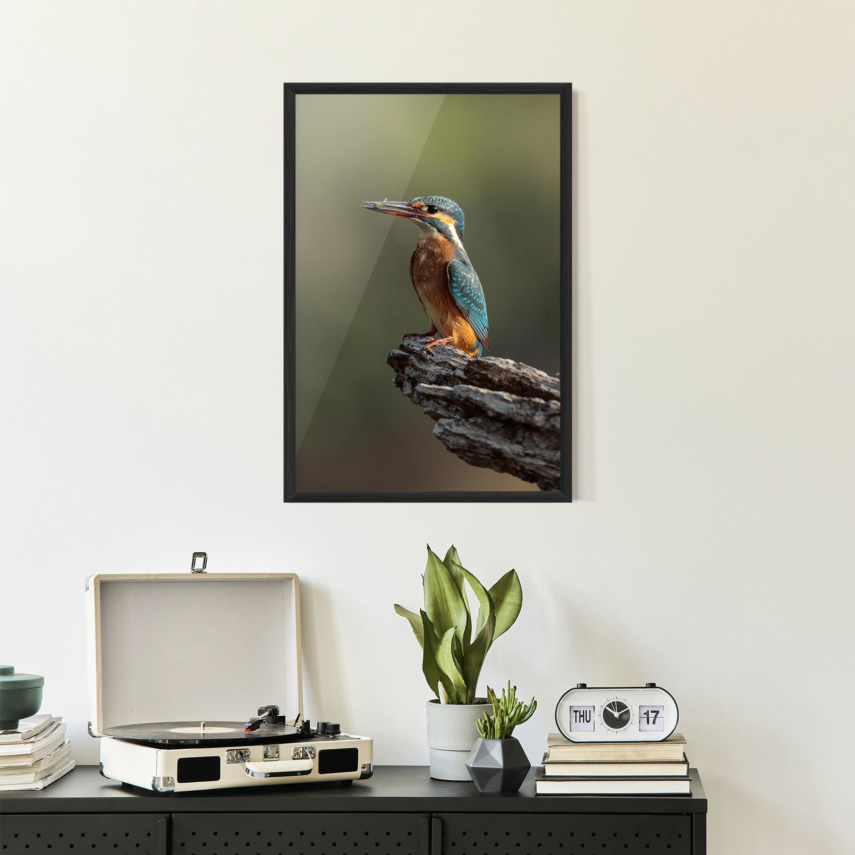 Female Kingfisher mockup 2