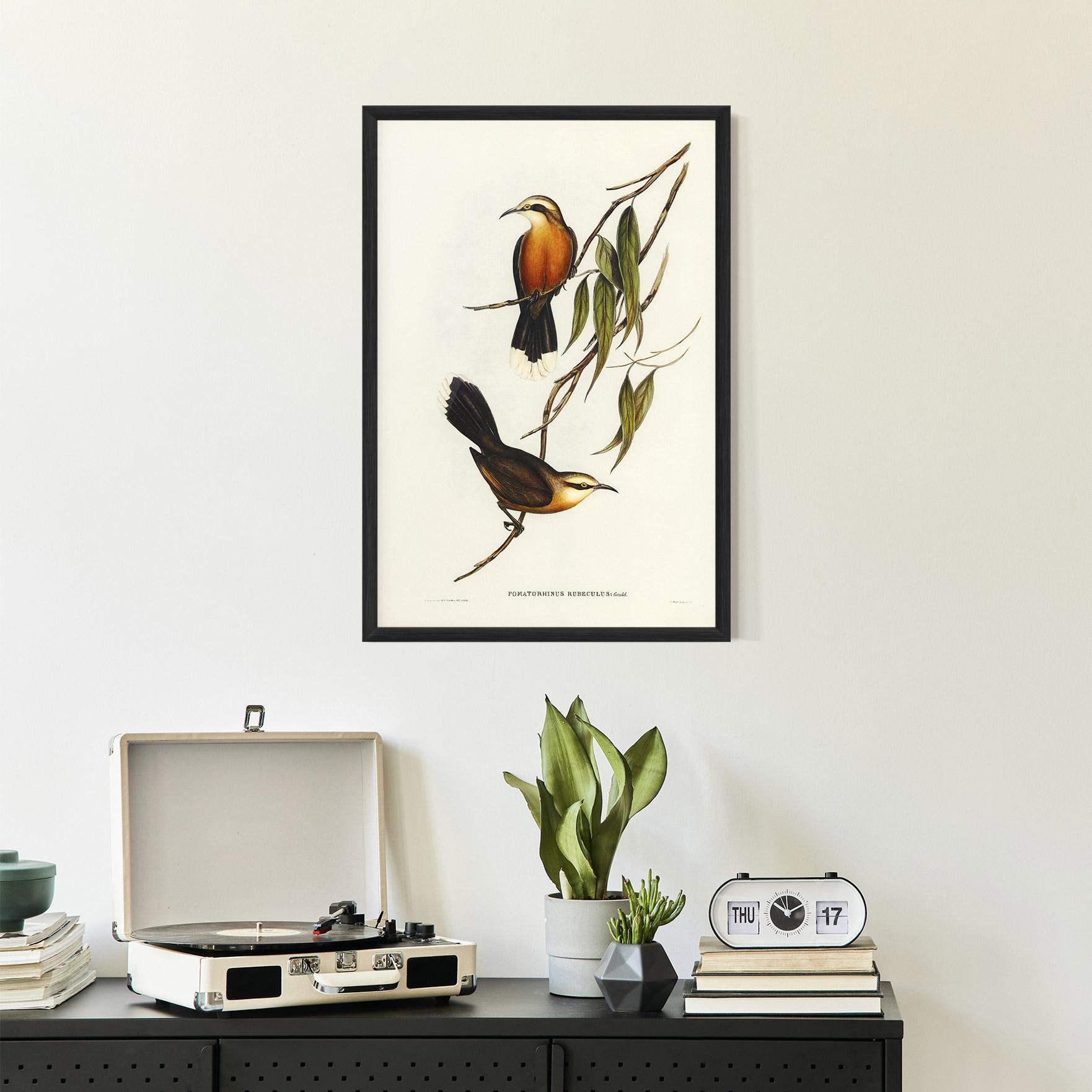 Gerahmte Poster Red Pomatorhinus mockup 2