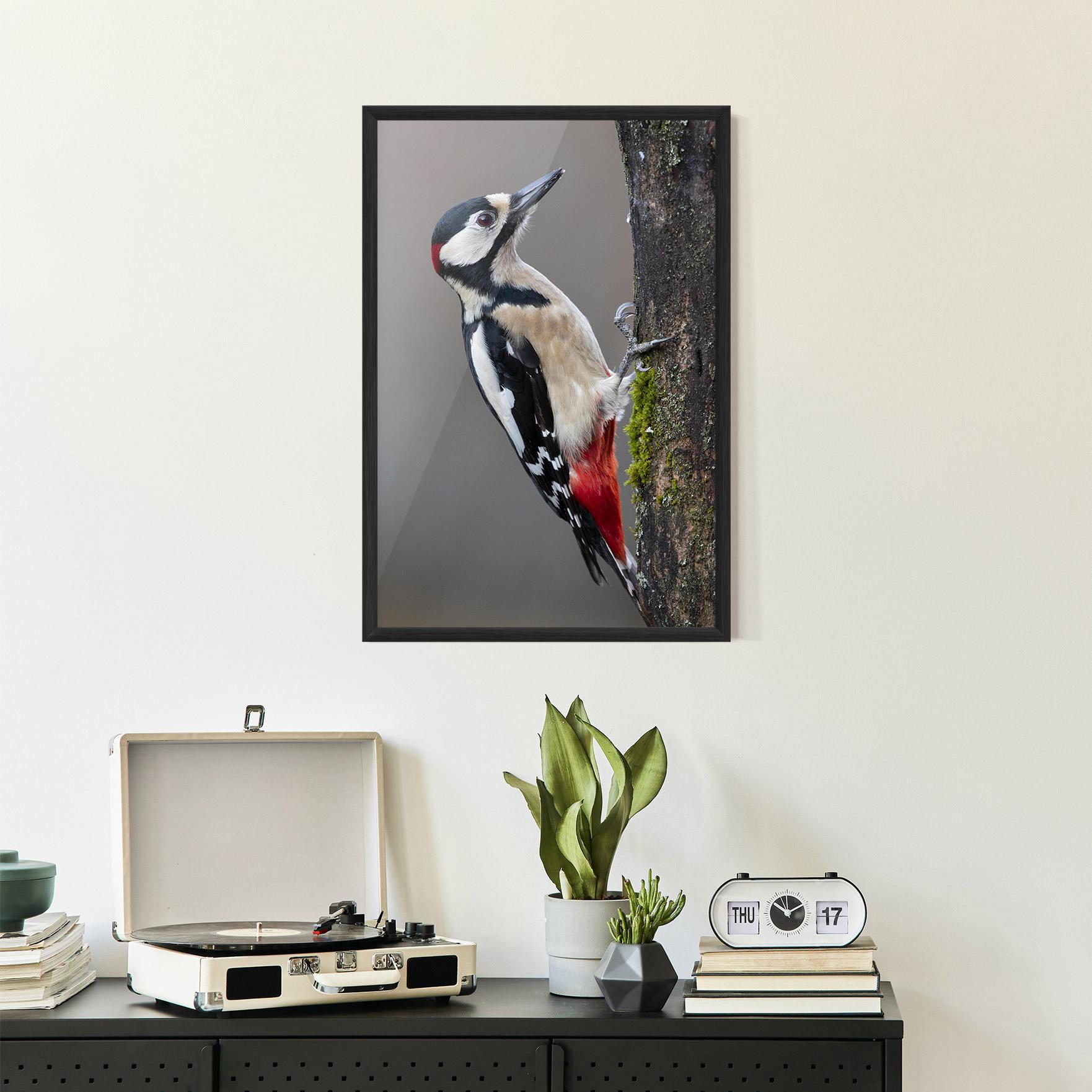 Gerahmte Poster Woodpecker mockup 2