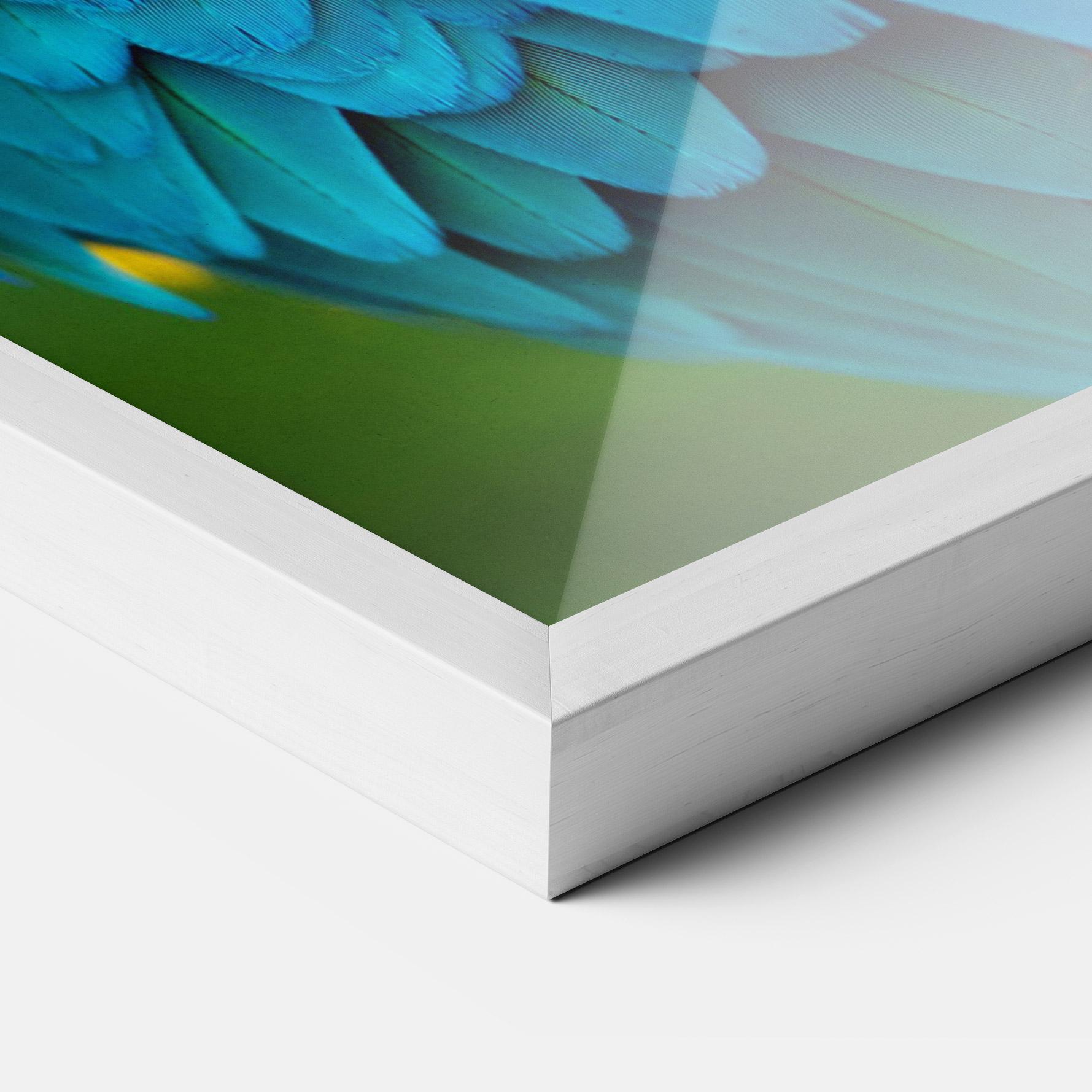 Gerahmte Poster Blue Parrot mockup 3