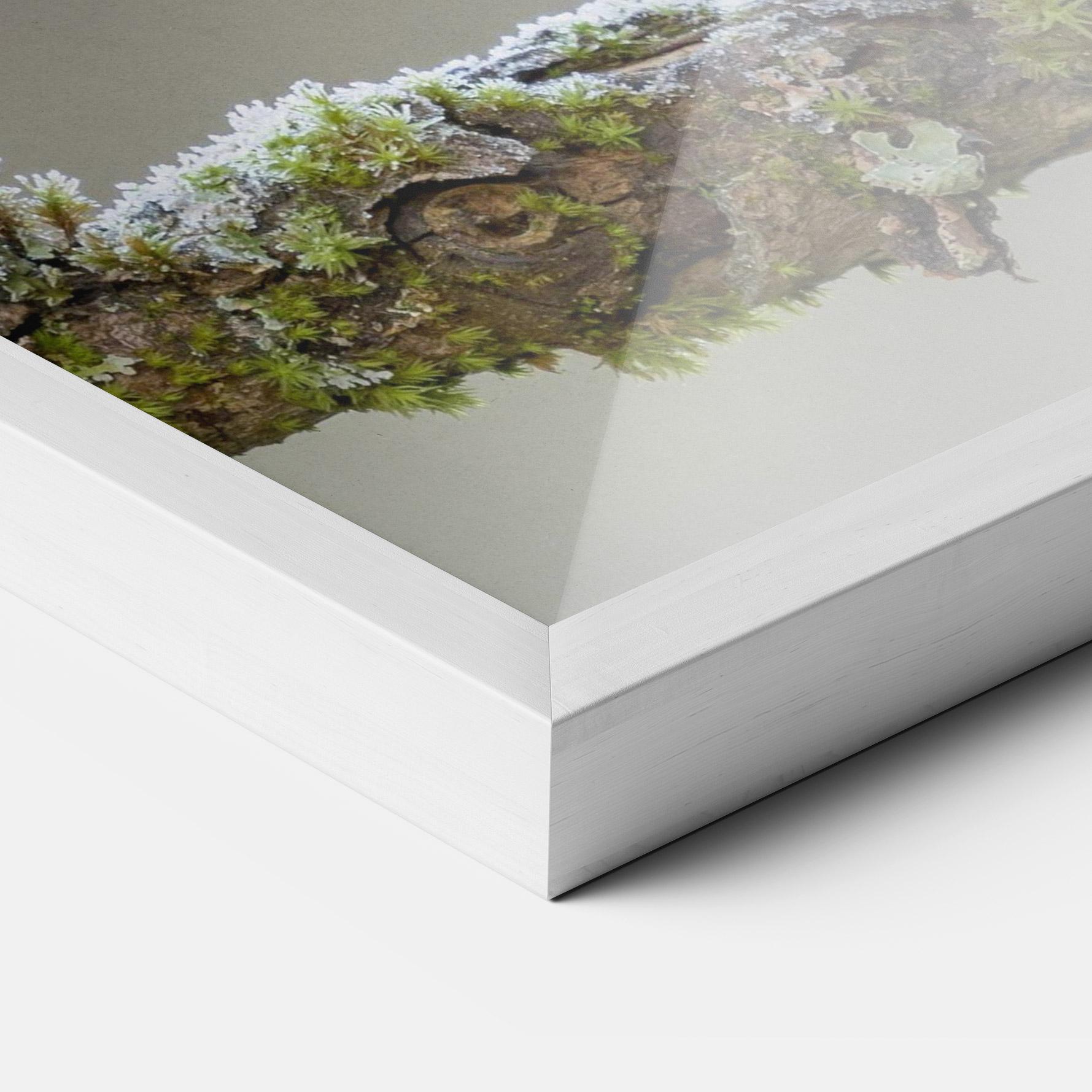 Gerahmte Poster Erithacus Bird mockup 3