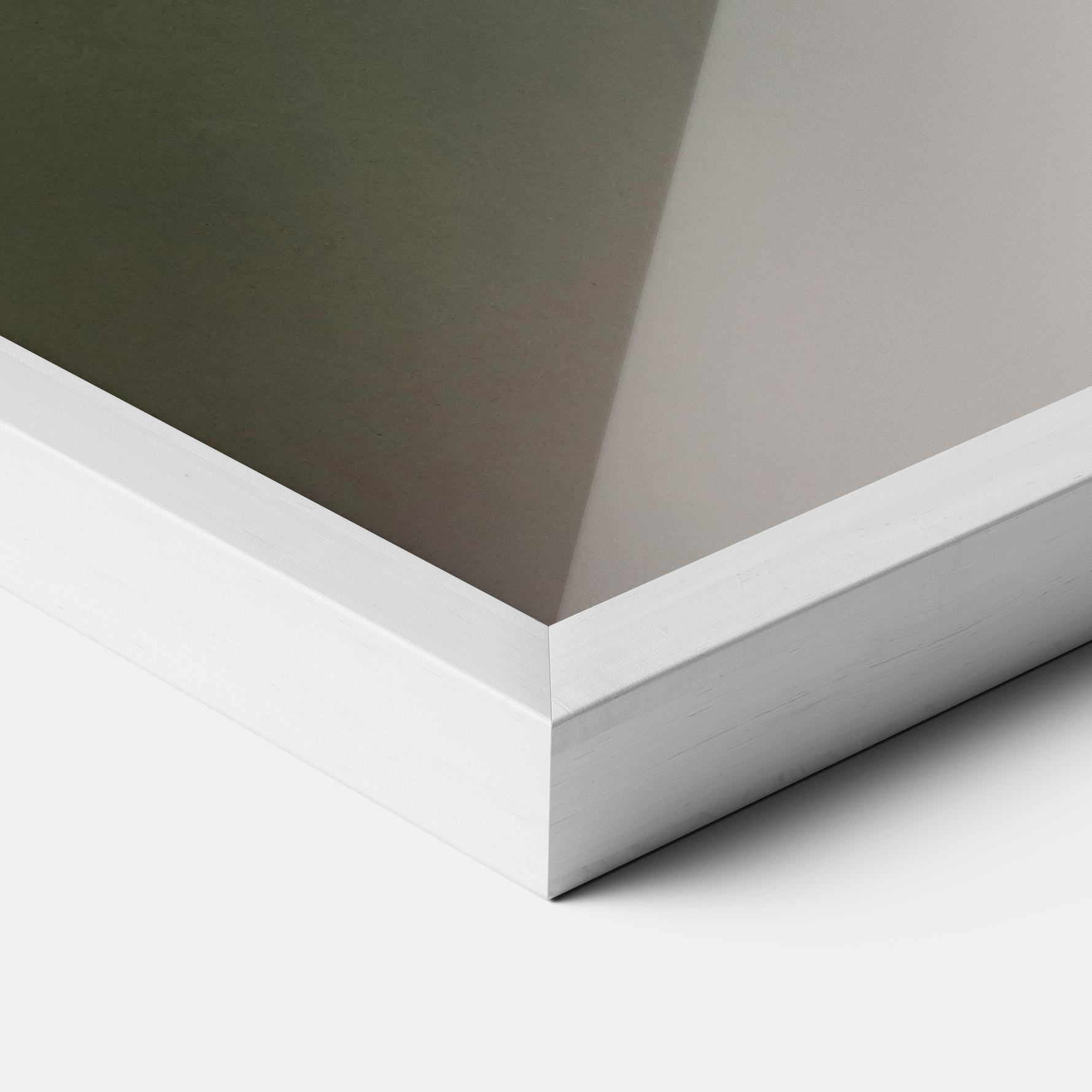 Gerahmte Poster Female Kingfisher mockup 3