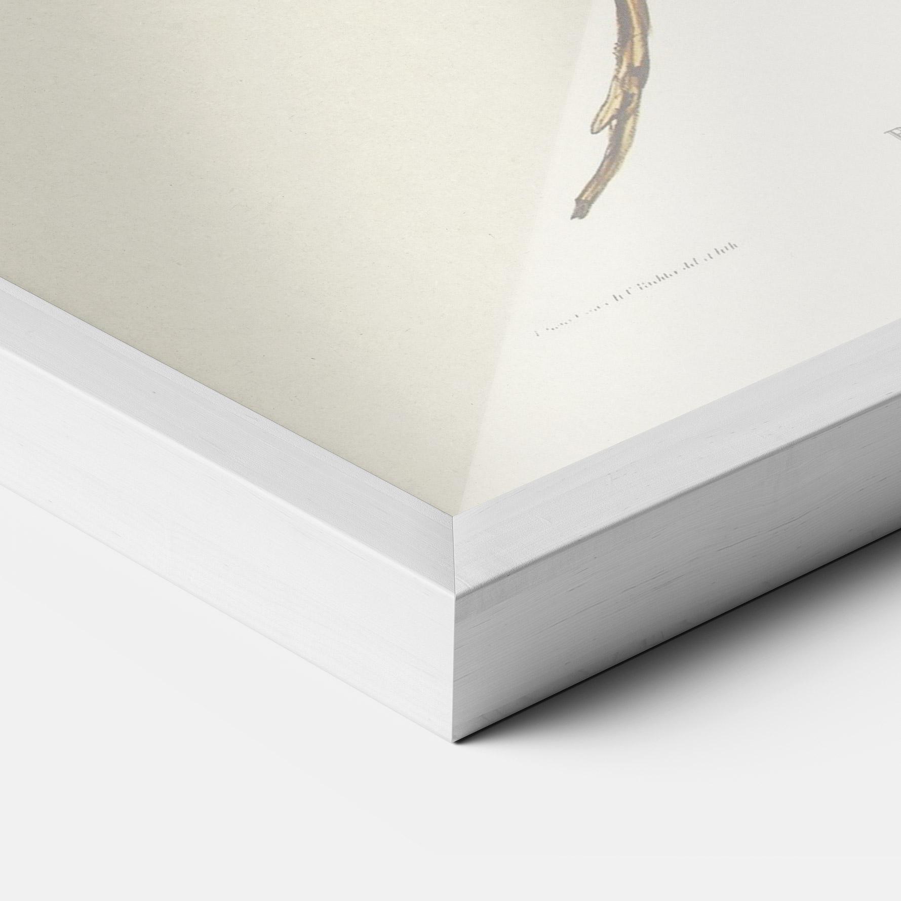 Gerahmte Poster Red Pomatorhinus mockup 3