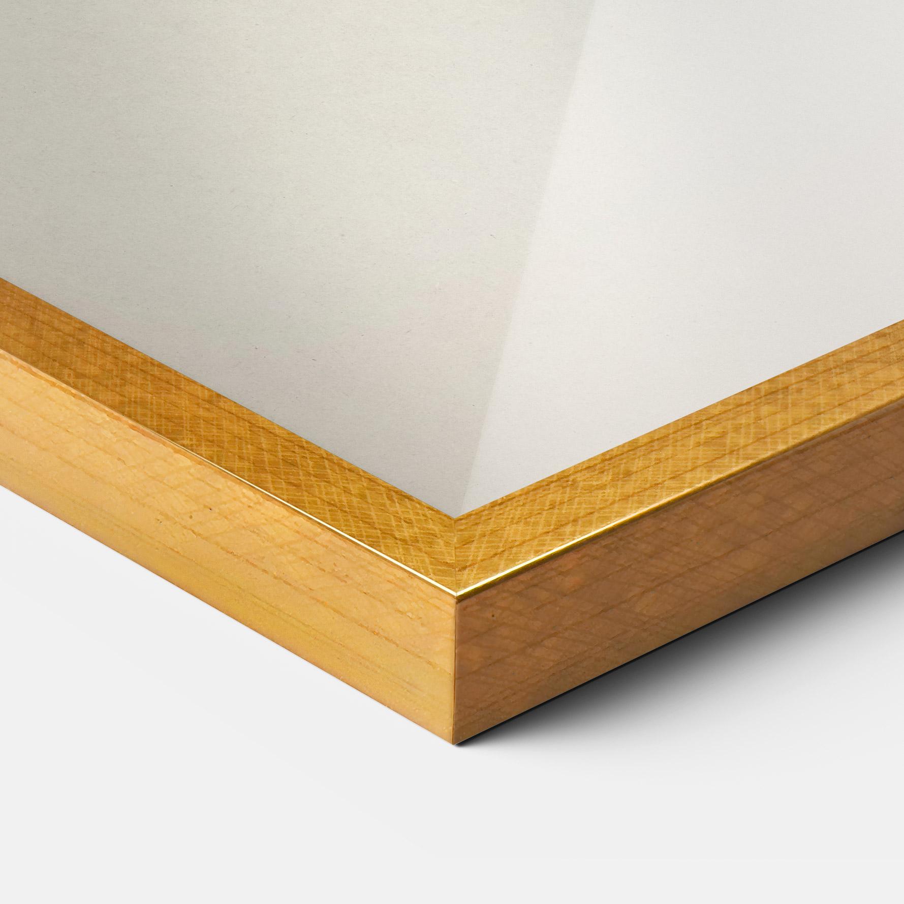 Gerahmte Poster Astur Gentilis mockup 3