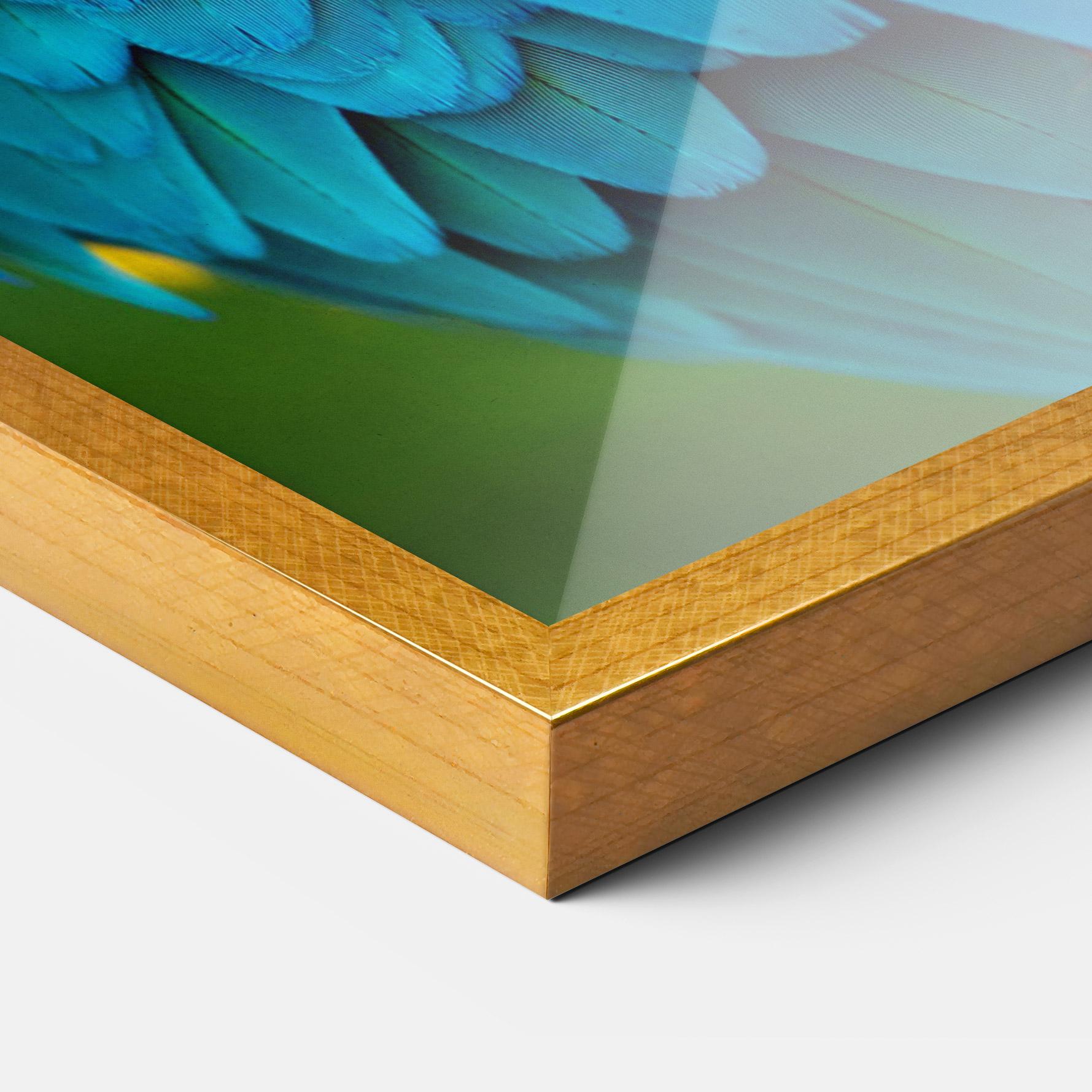 Gerahmte Poster Blue Parrot mockup 3