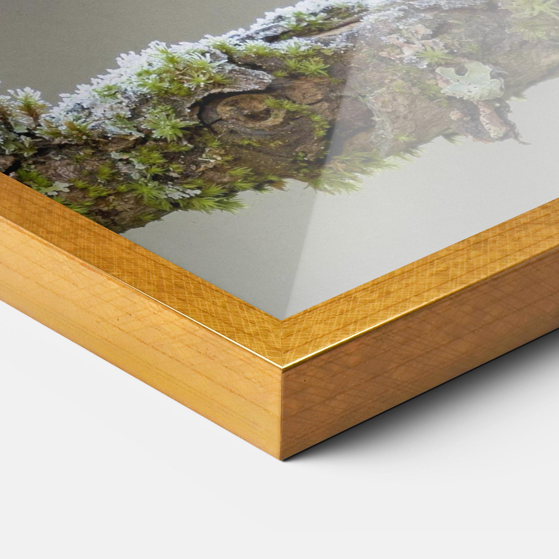 Gerahmte Poster Erithacus Bird mockup 3