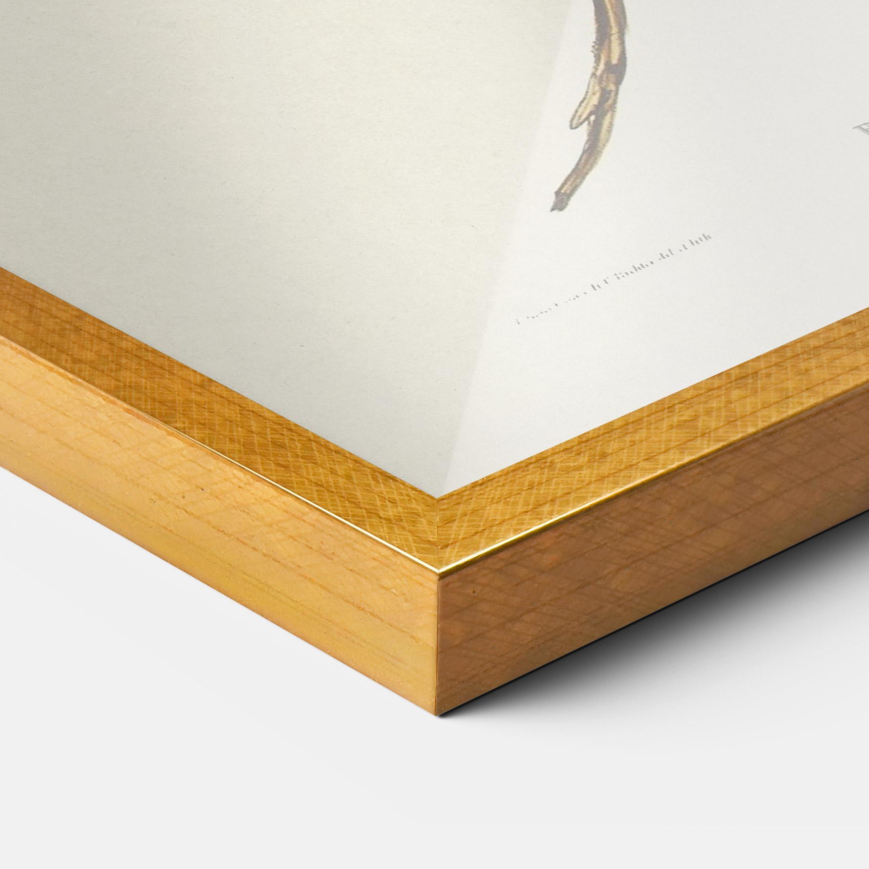 Gerahmte Poster Red Pomatorhinus mockup 3