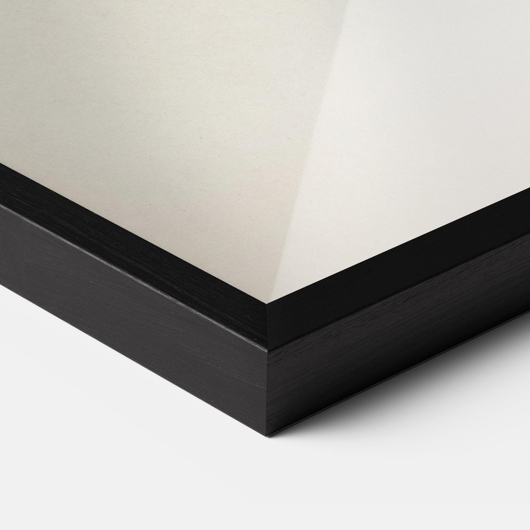 Gerahmte Poster Astur Gentilis mockup 3