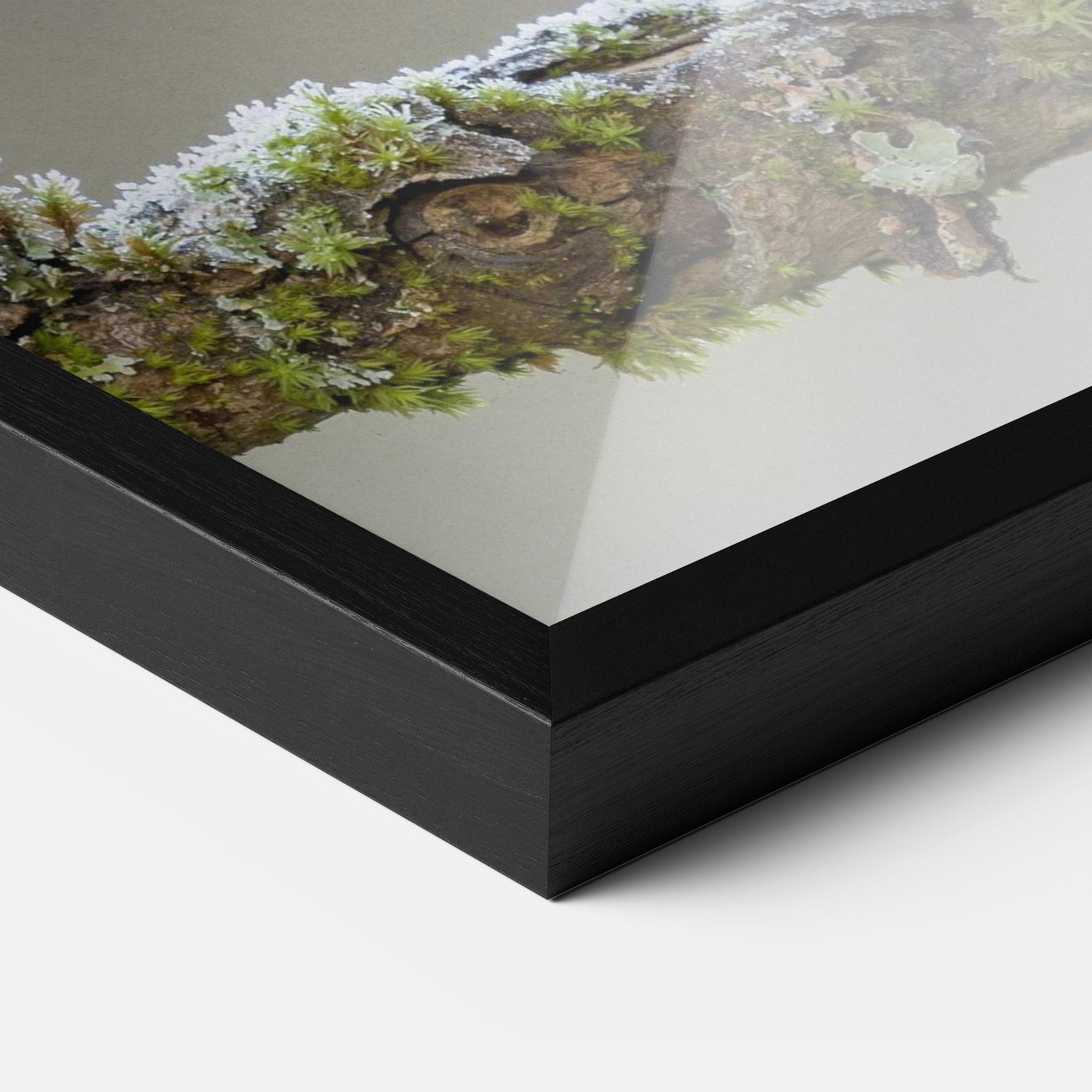 Gerahmte Poster Erithacus Bird mockup 3