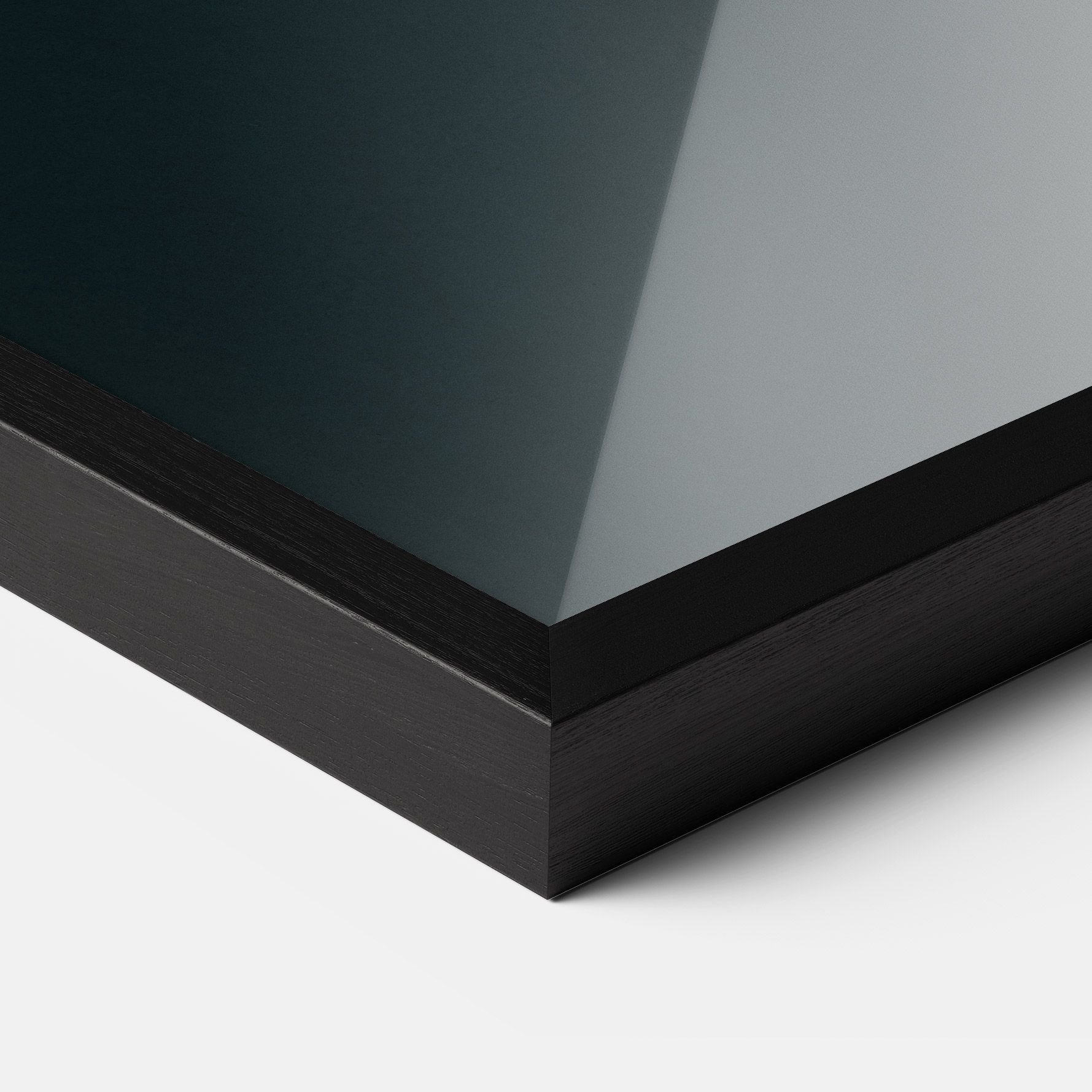 Fire Parrot mockup 3