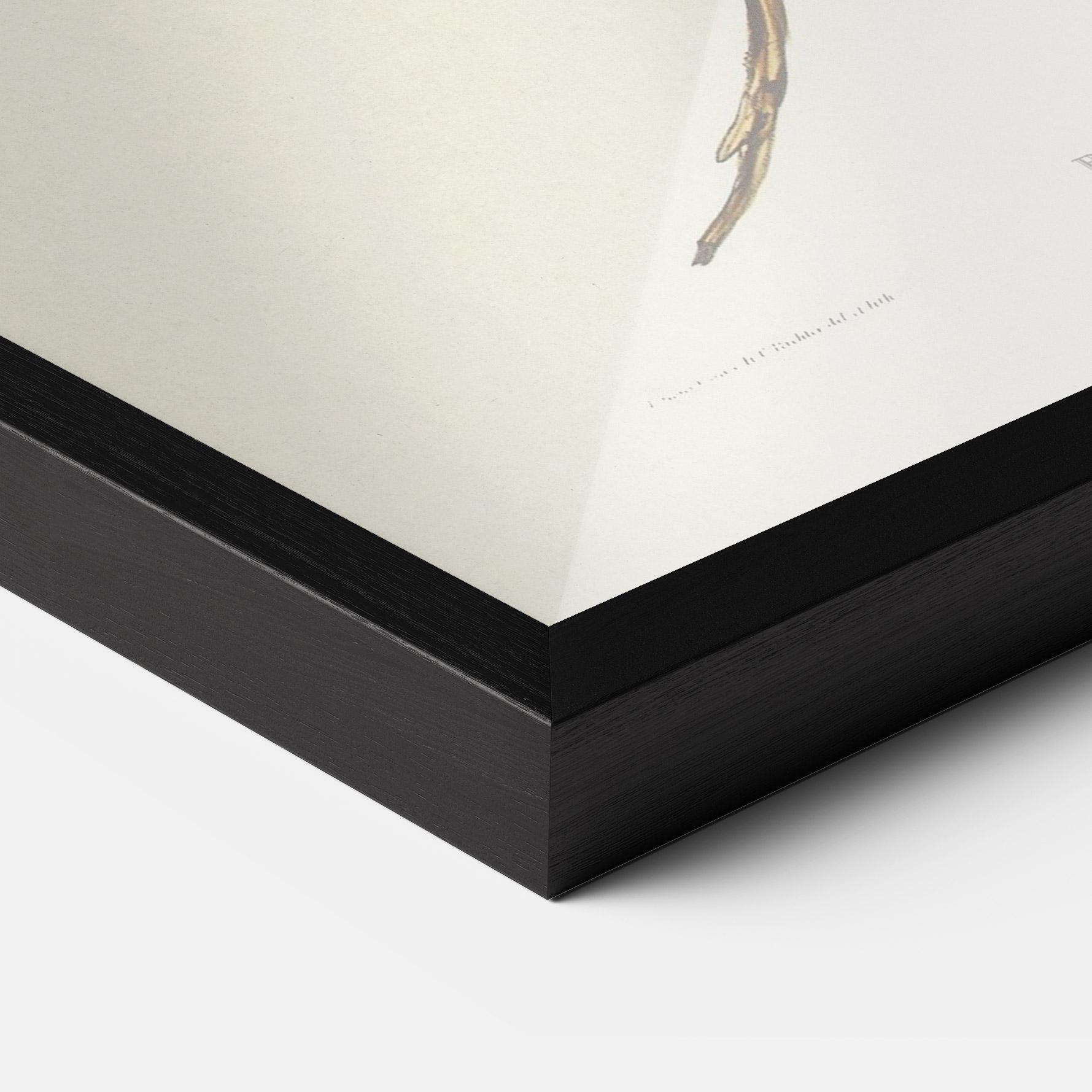 Gerahmte Poster Red Pomatorhinus mockup 3