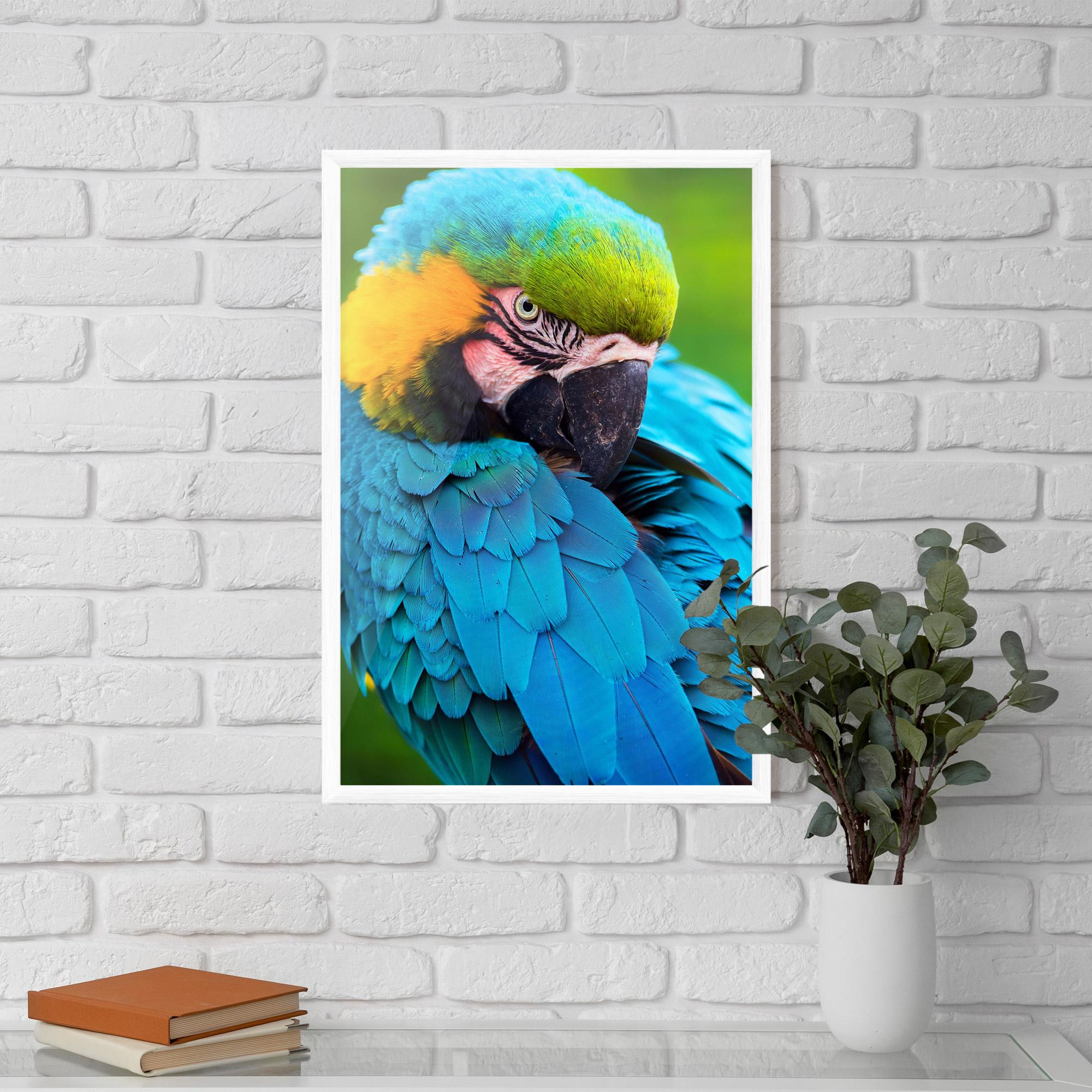 Gerahmte Poster Blue Parrot mockup 5