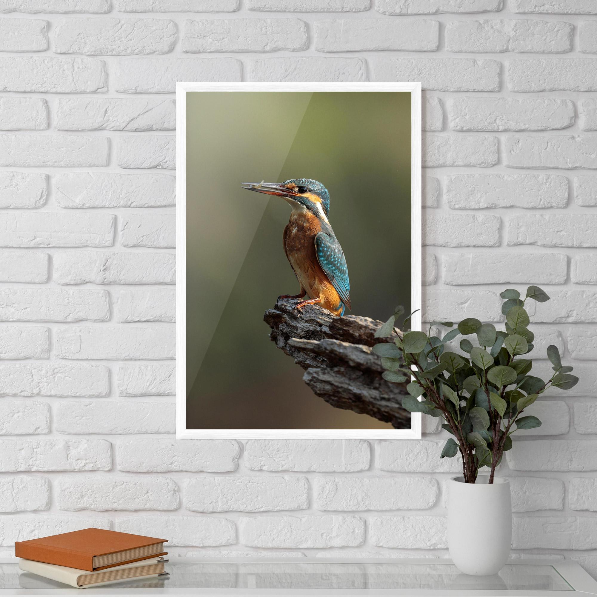 Gerahmte Poster Female Kingfisher mockup 5