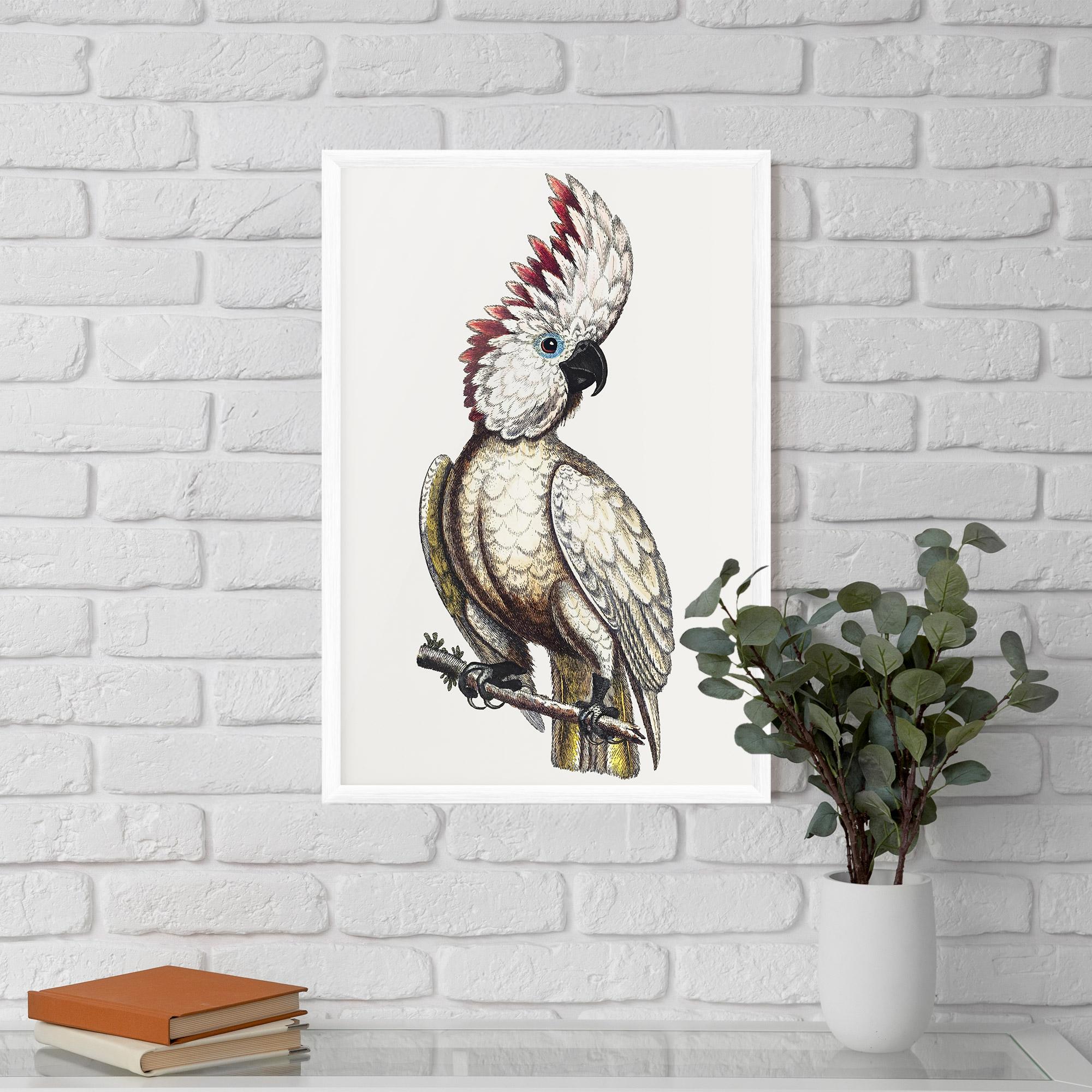 Gerahmte Poster Interesting Bird mockup 5