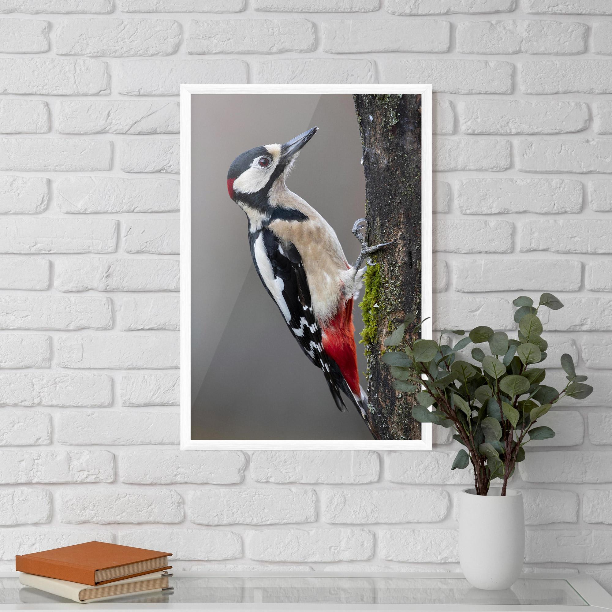 Gerahmte Poster Woodpecker mockup 5