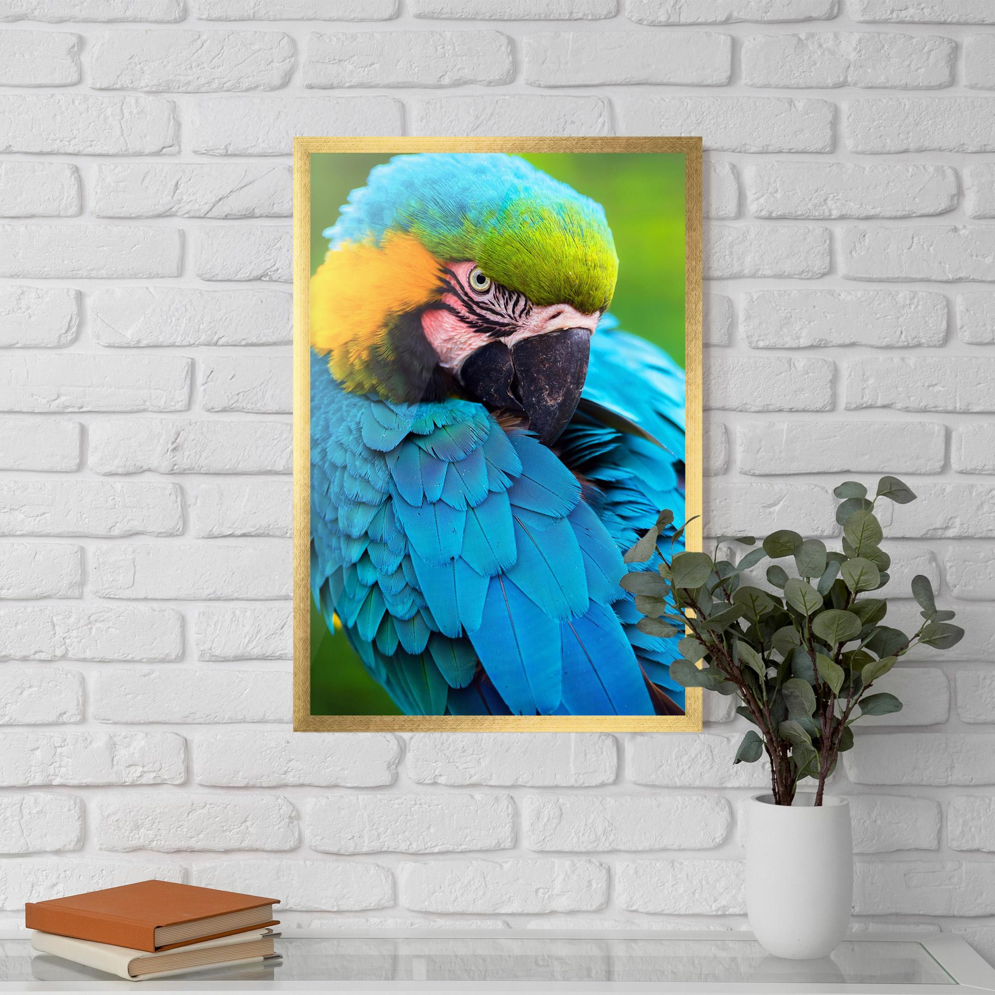 Gerahmte Poster Blue Parrot mockup 5