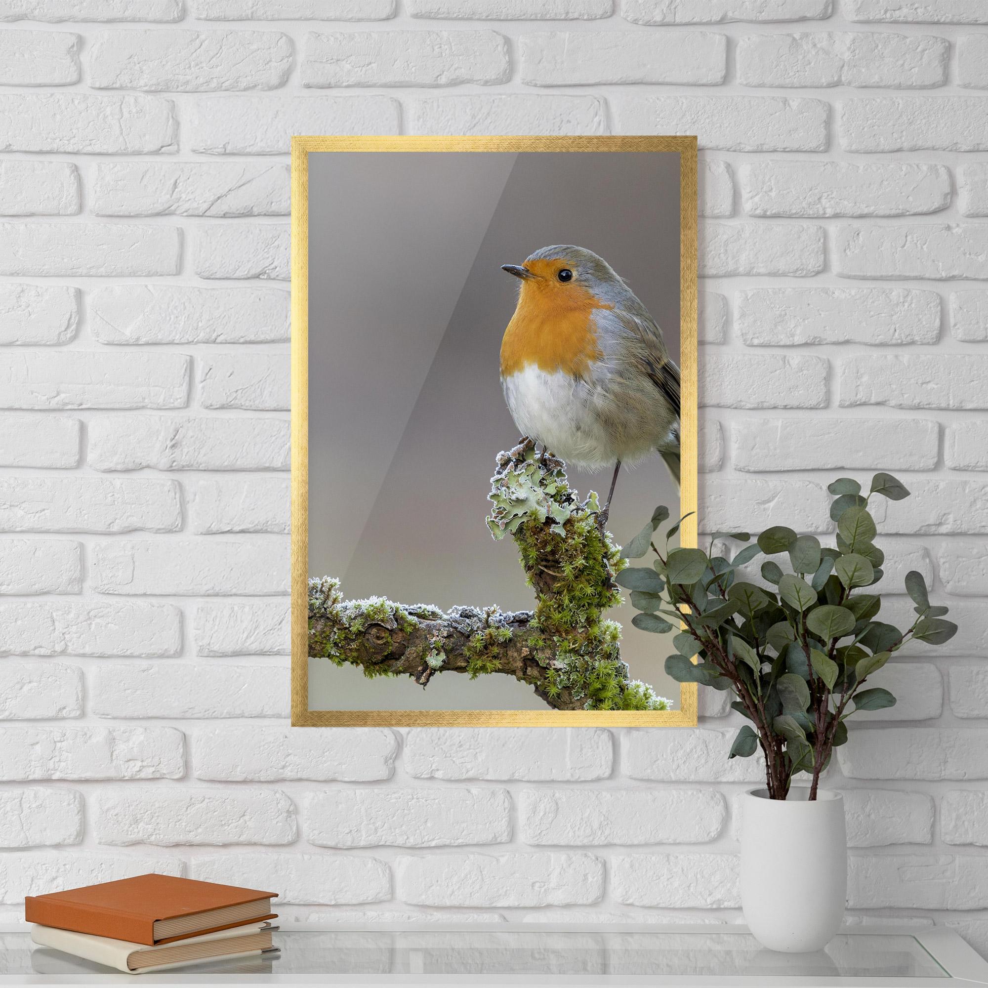 Gerahmte Poster Erithacus Bird mockup 5
