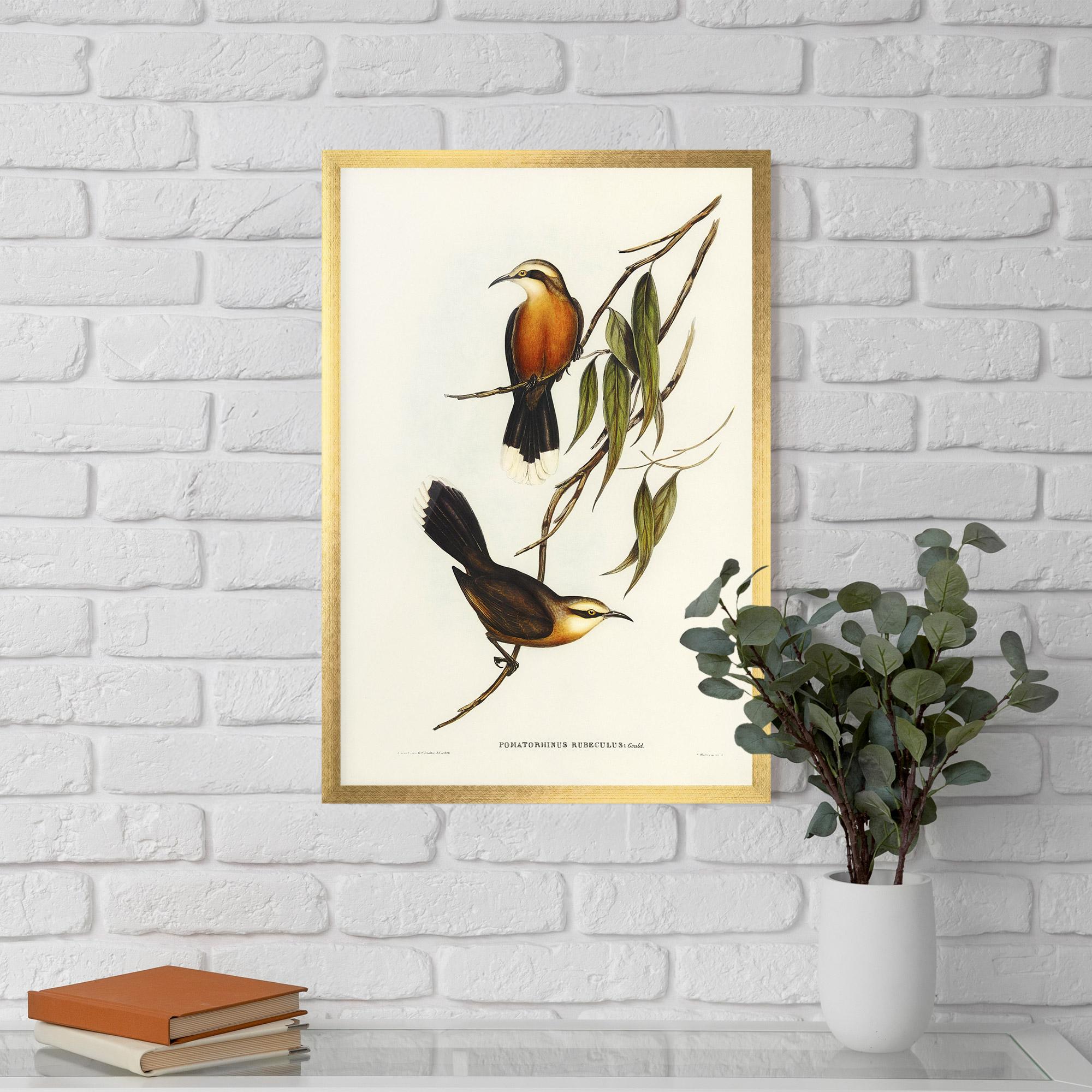 Gerahmte Poster Red Pomatorhinus mockup 5