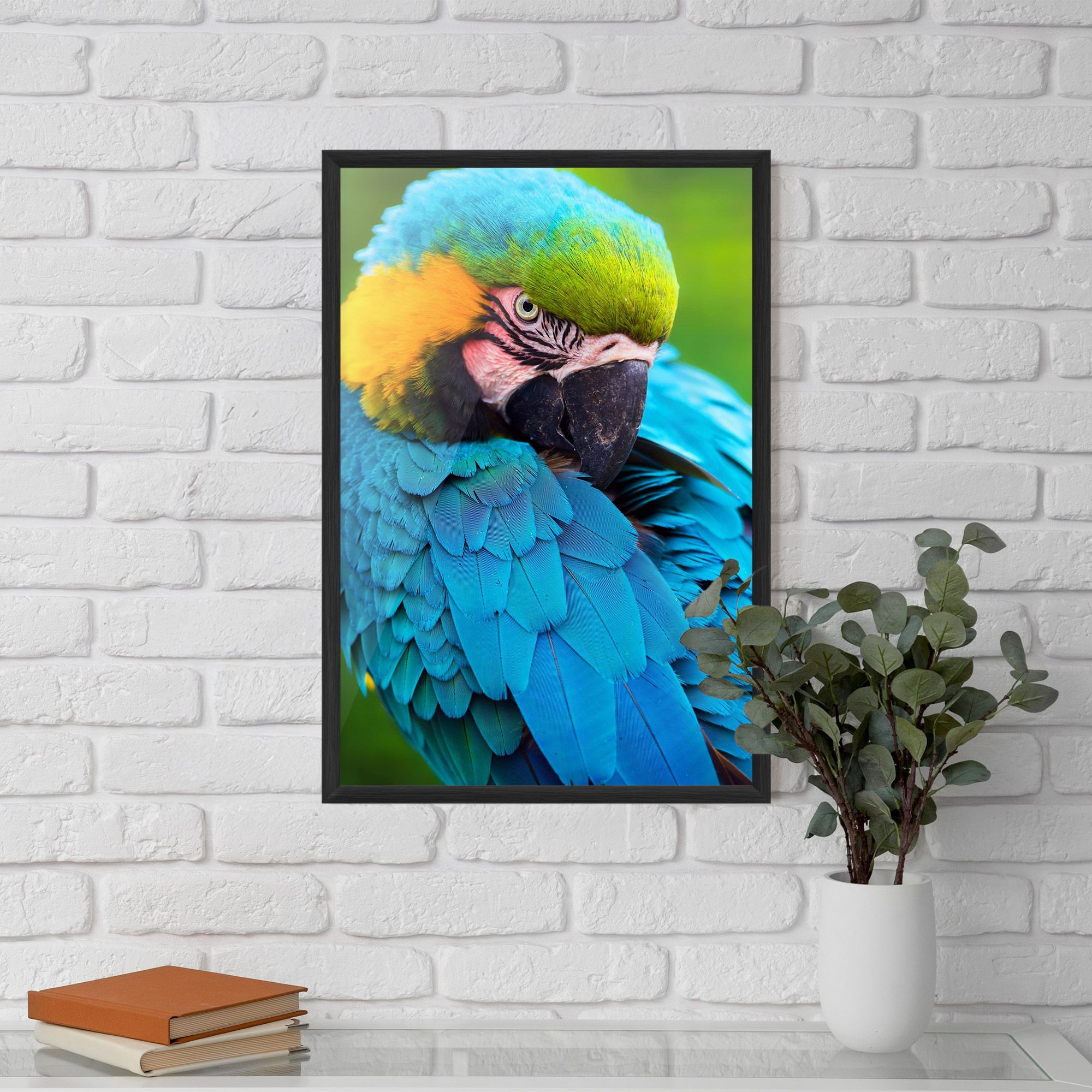 Blue Parrot mockup 5