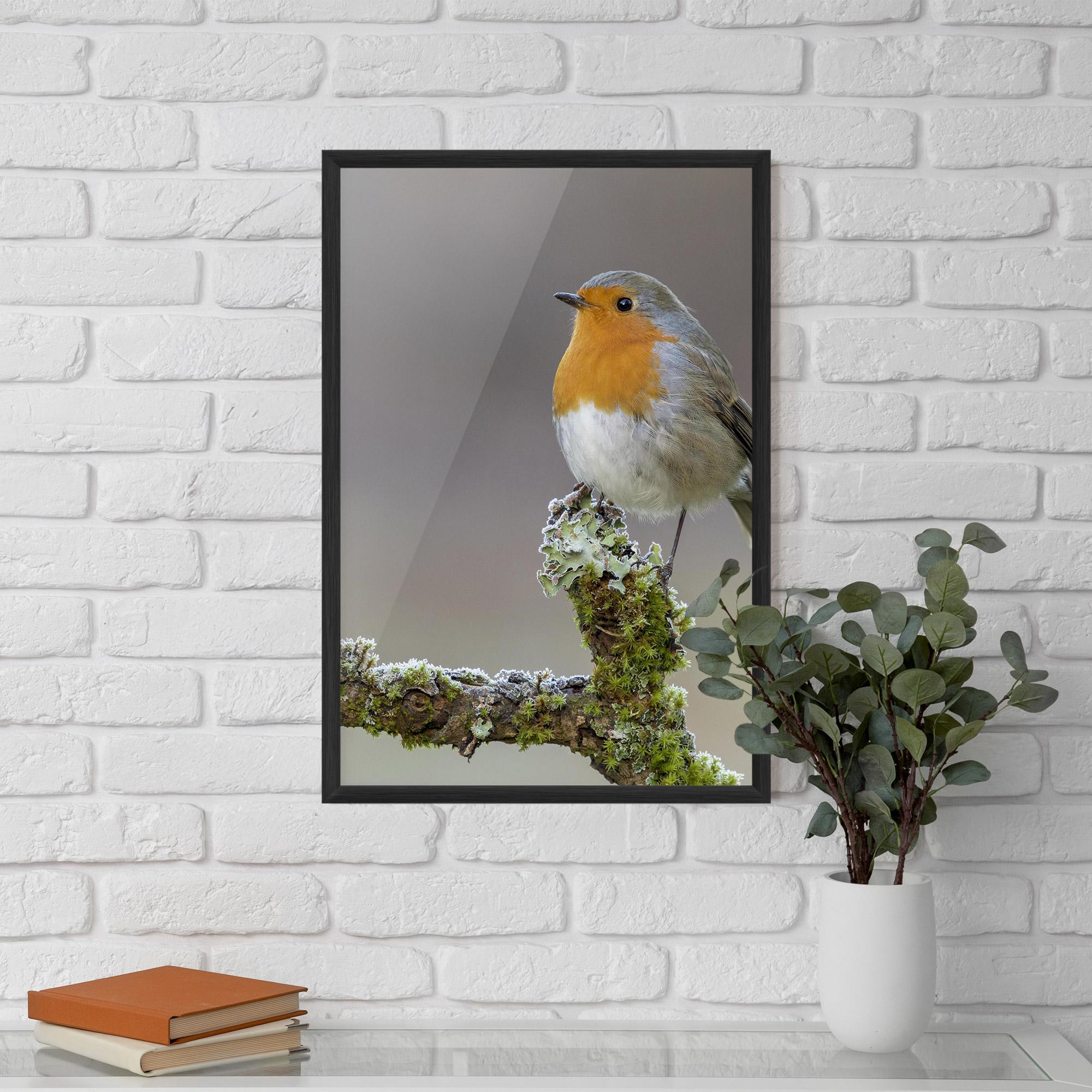 Gerahmte Poster Erithacus Bird mockup 5
